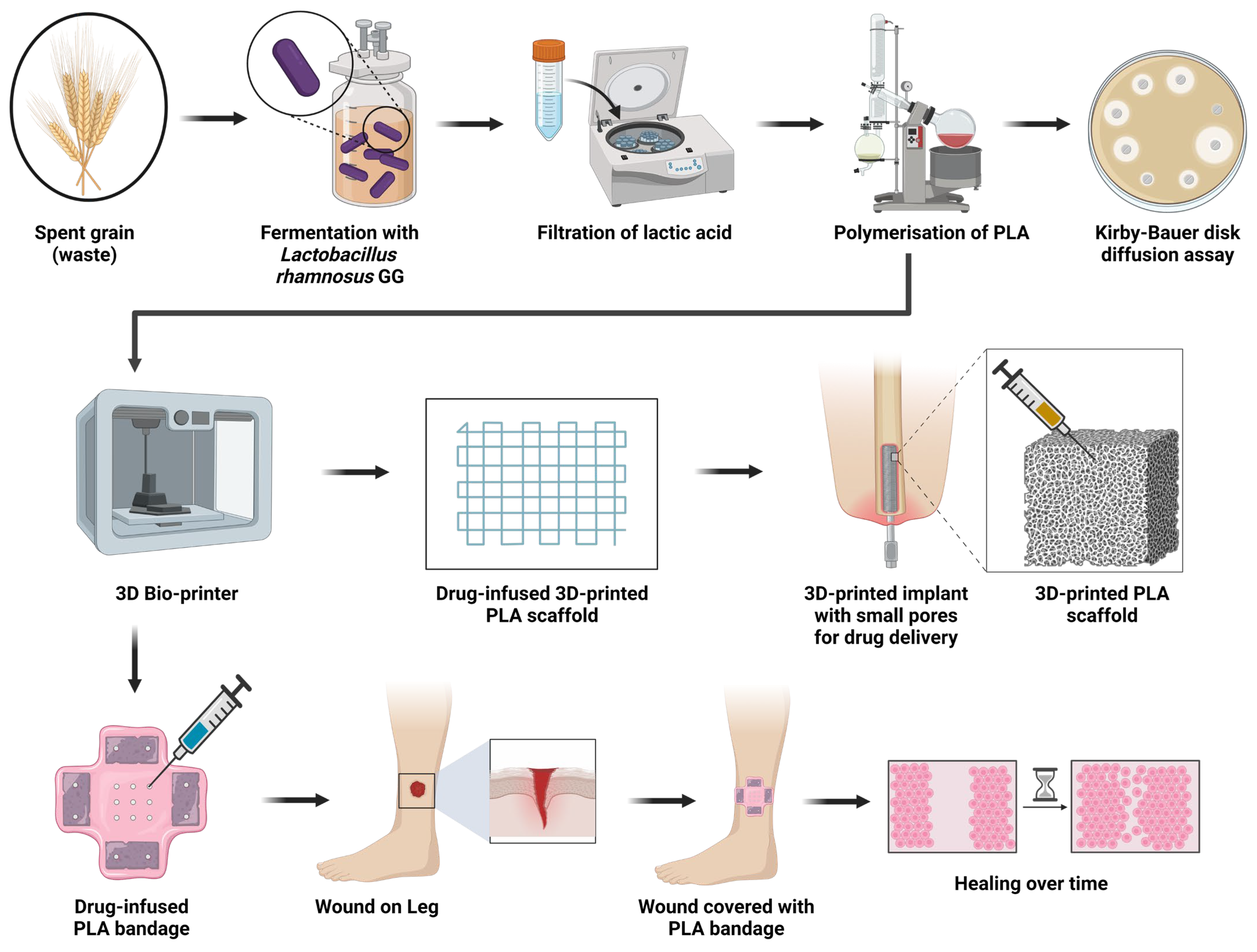 Polymers 16 00483 g001