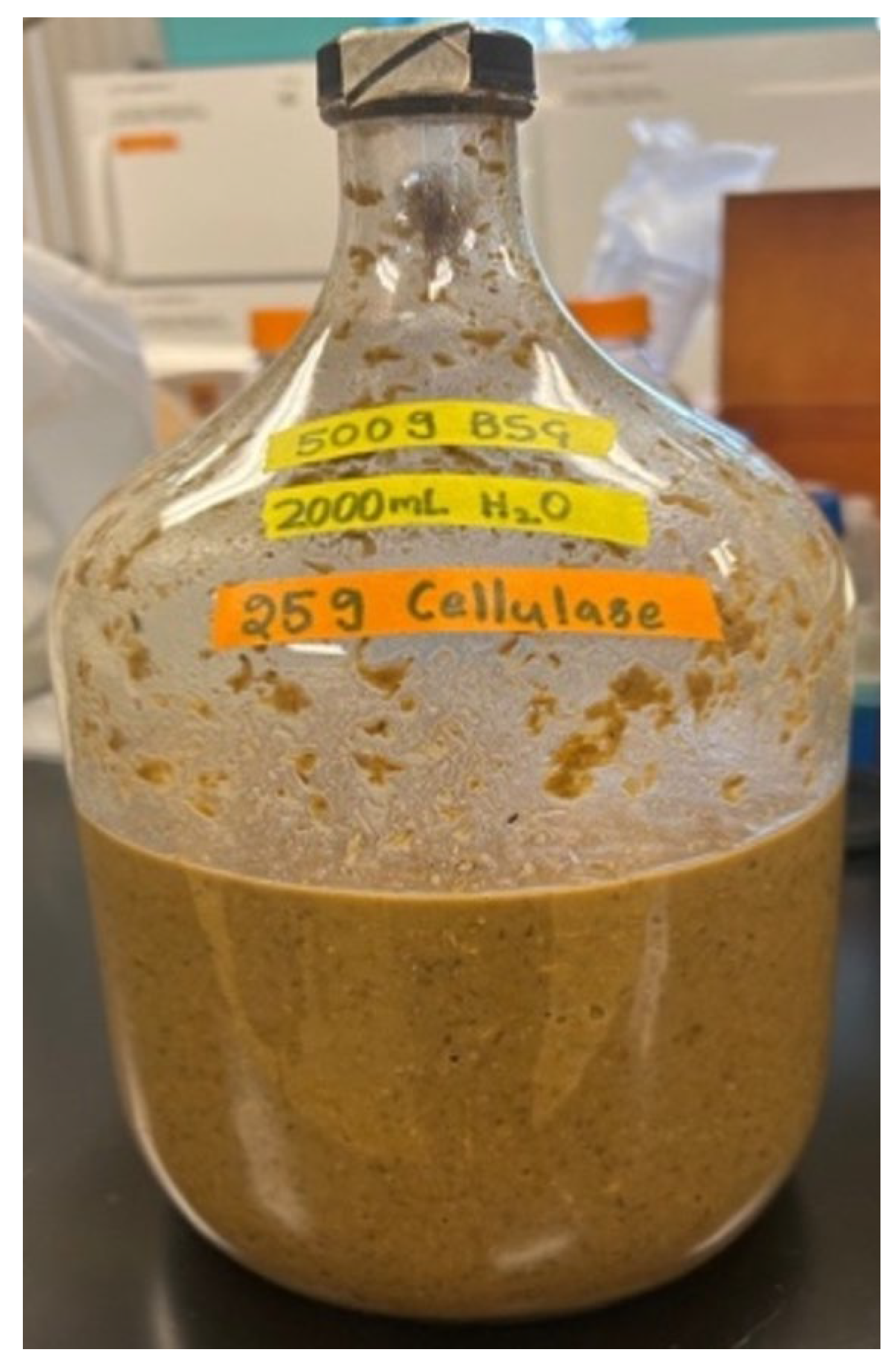 Polymers 16 00483 g002