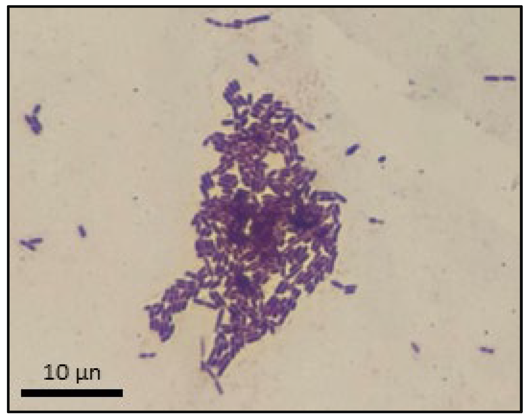 Polymers 16 00483 g003