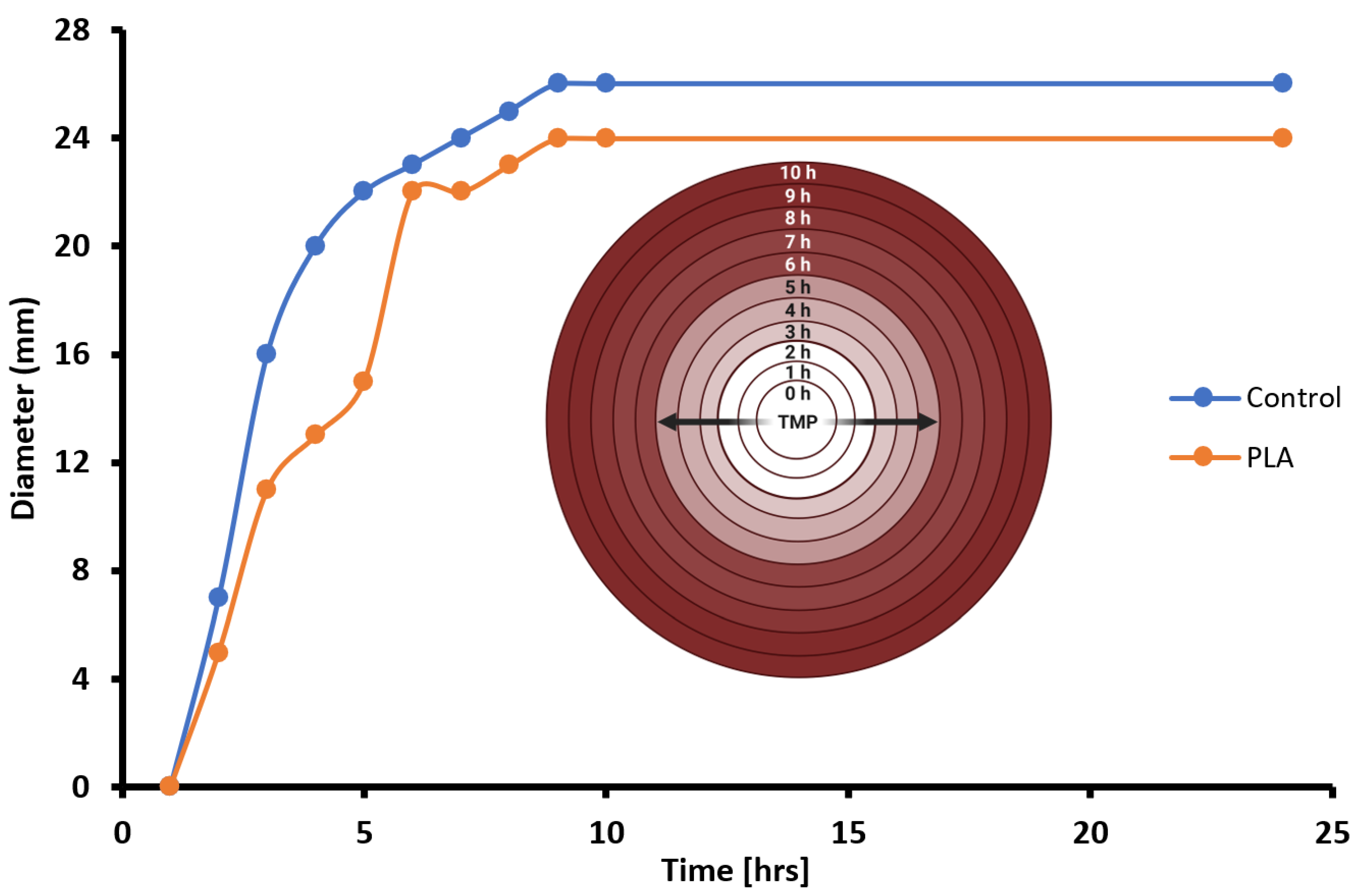 Polymers 16 00483 g008