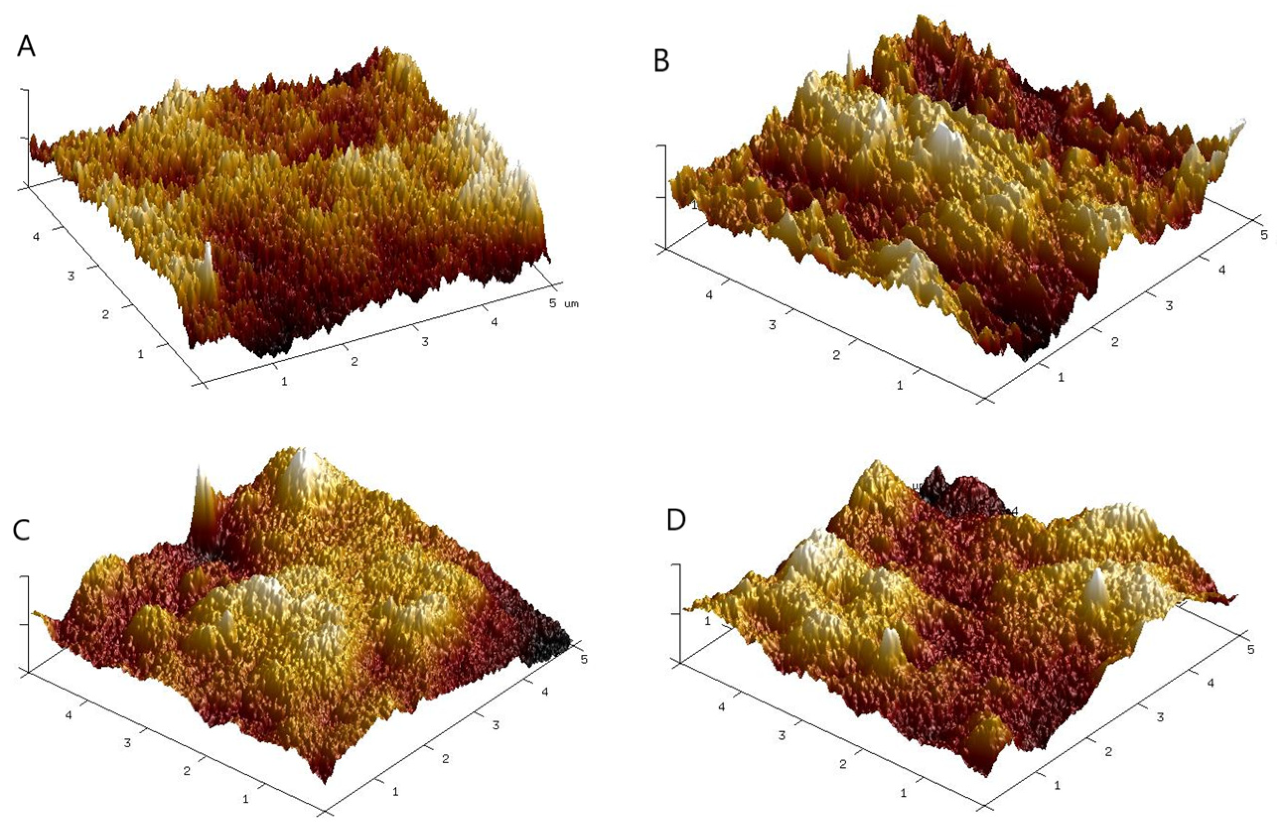 Polymers 16 00484 g002