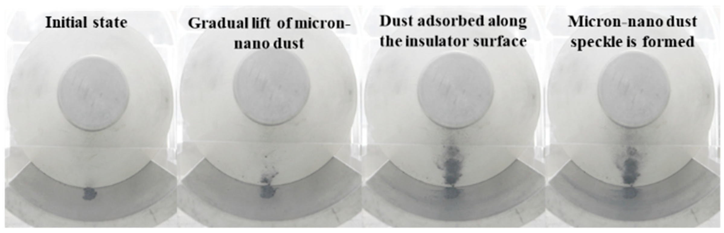 Polymers 16 00485 g007