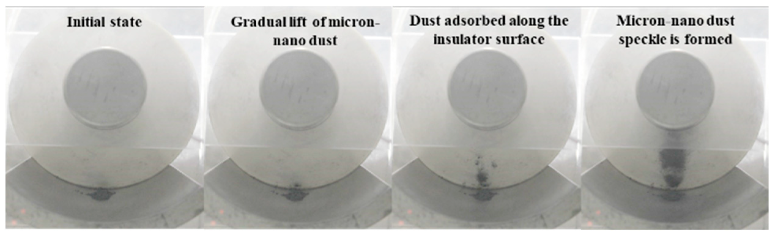 Polymers 16 00485 g010