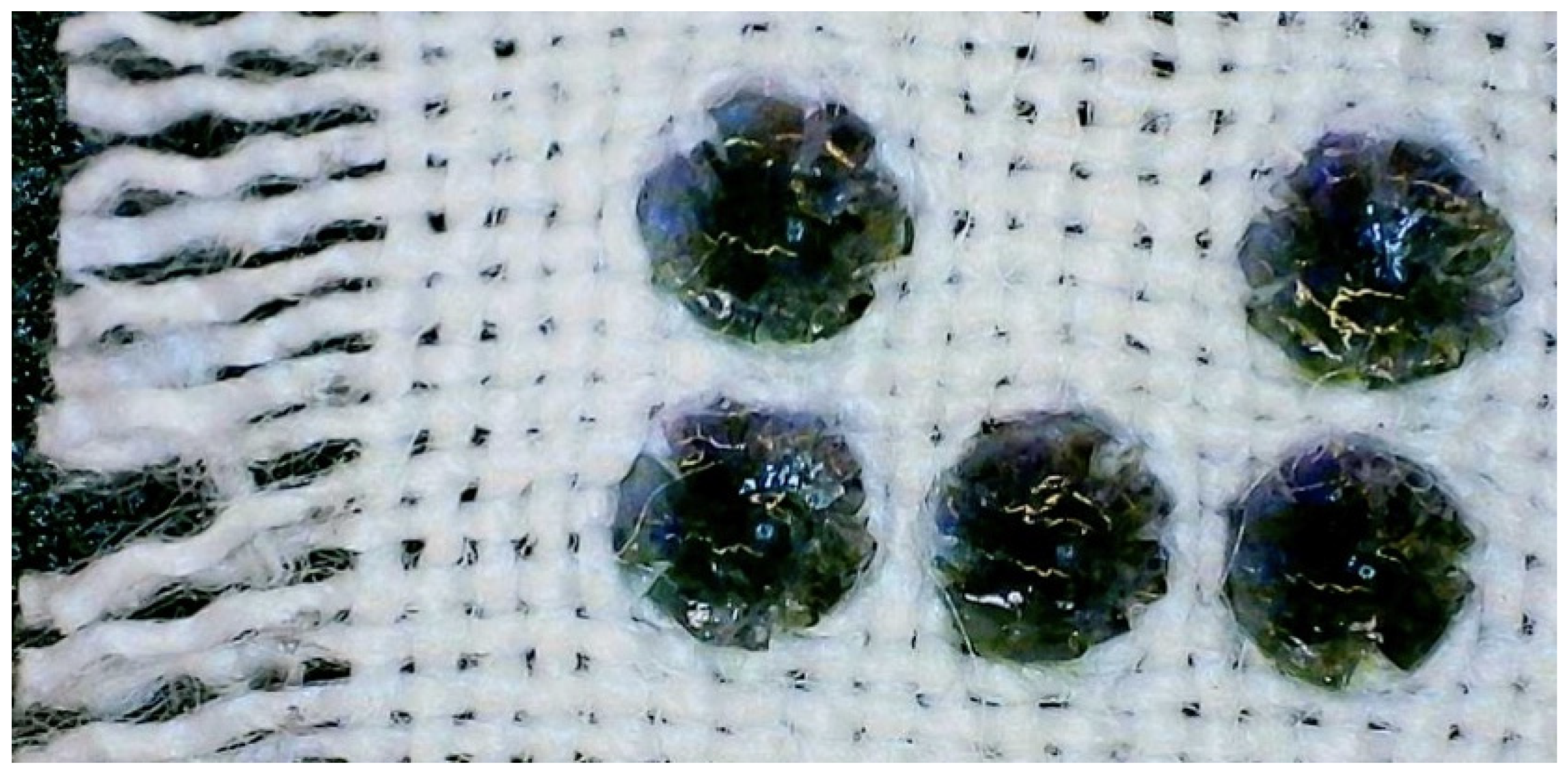 Polymers 16 00486 g011