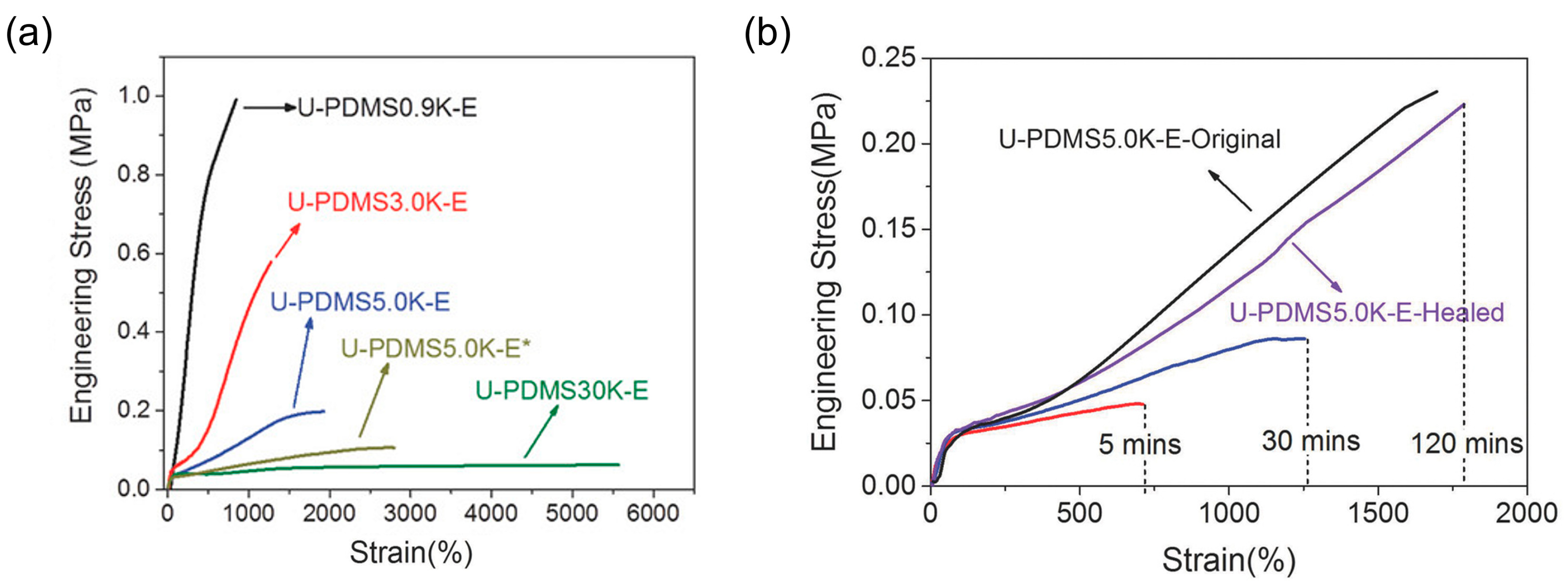 Polymers 16 00487 g004