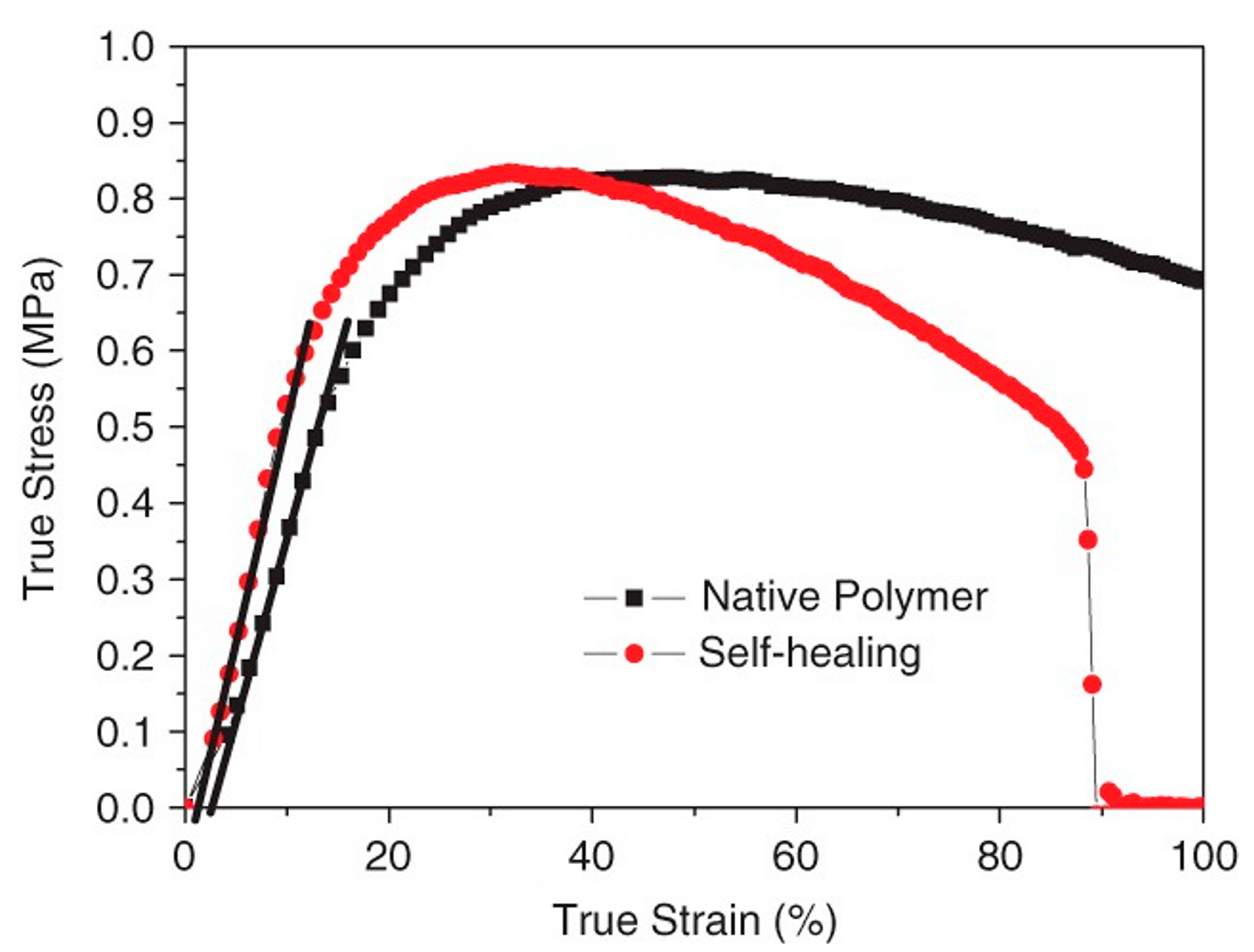 Polymers 16 00487 g008