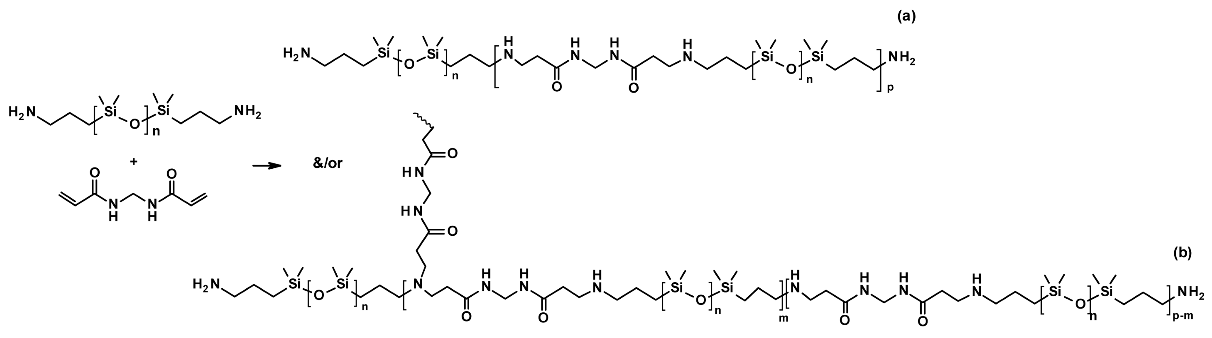 Polymers 16 00487 sch007