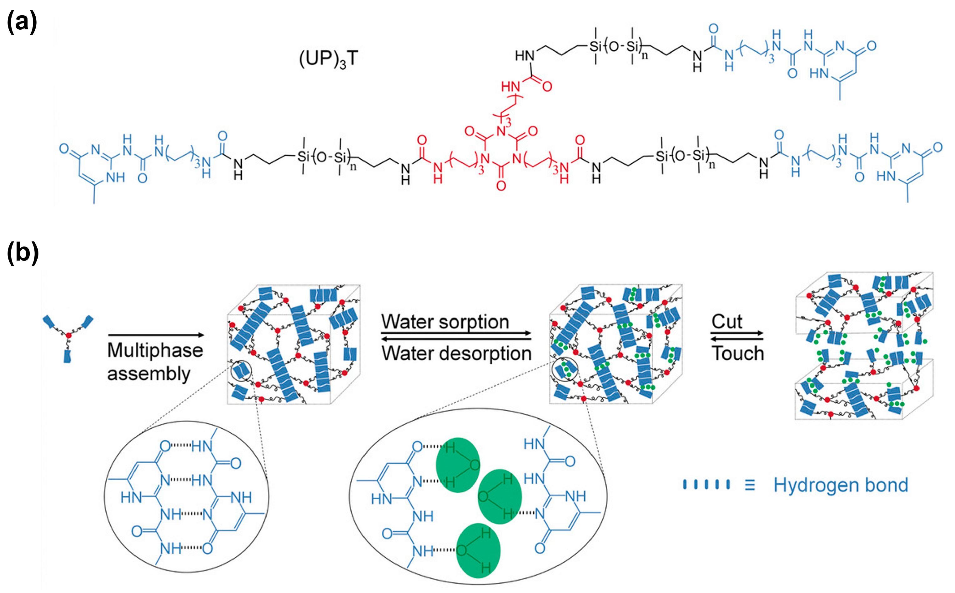 Polymers 16 00487 sch014