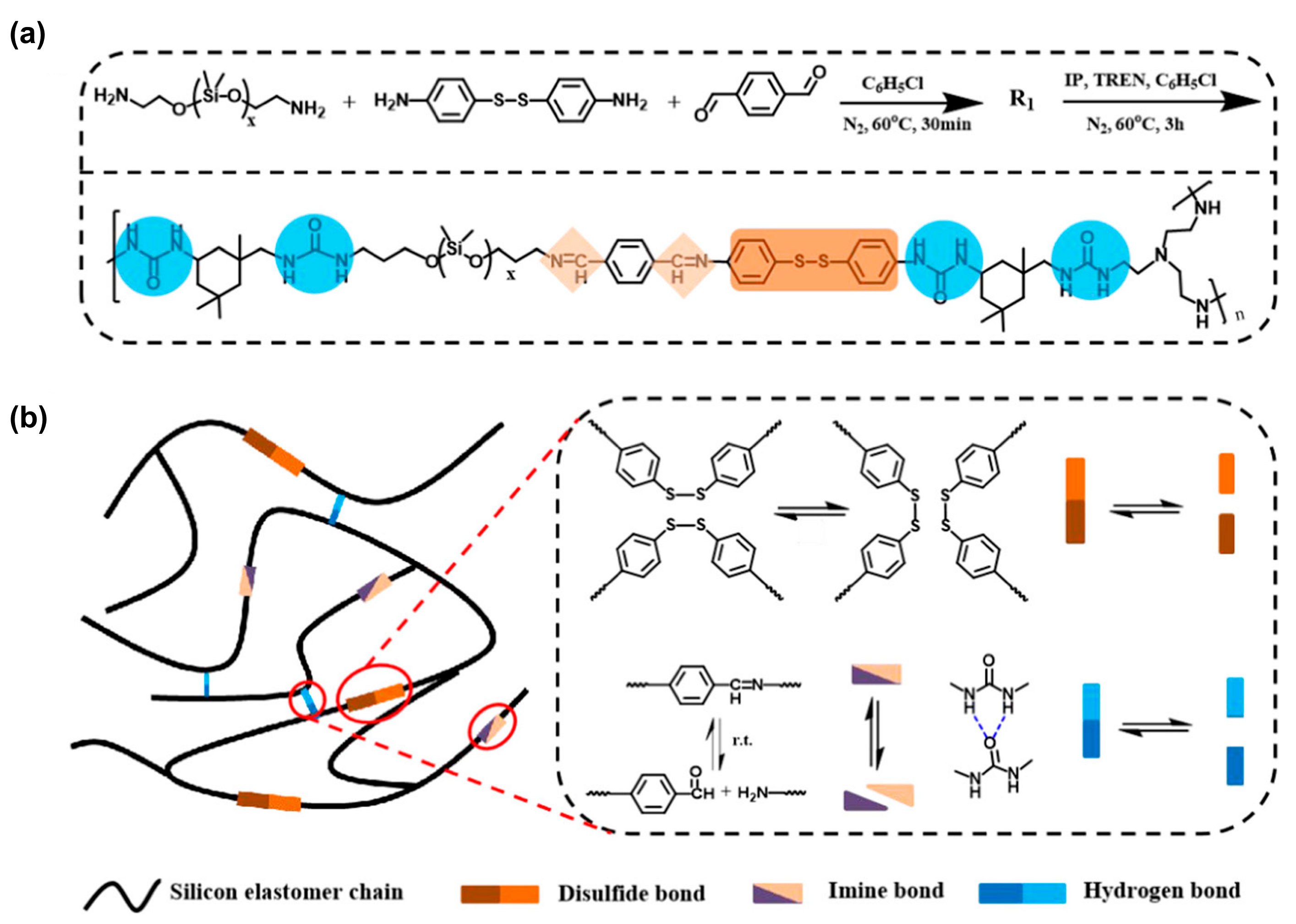 Polymers 16 00487 sch025