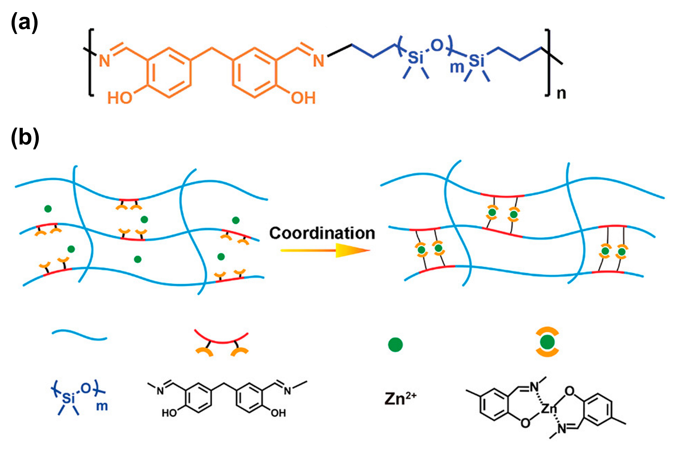 Polymers 16 00487 sch029