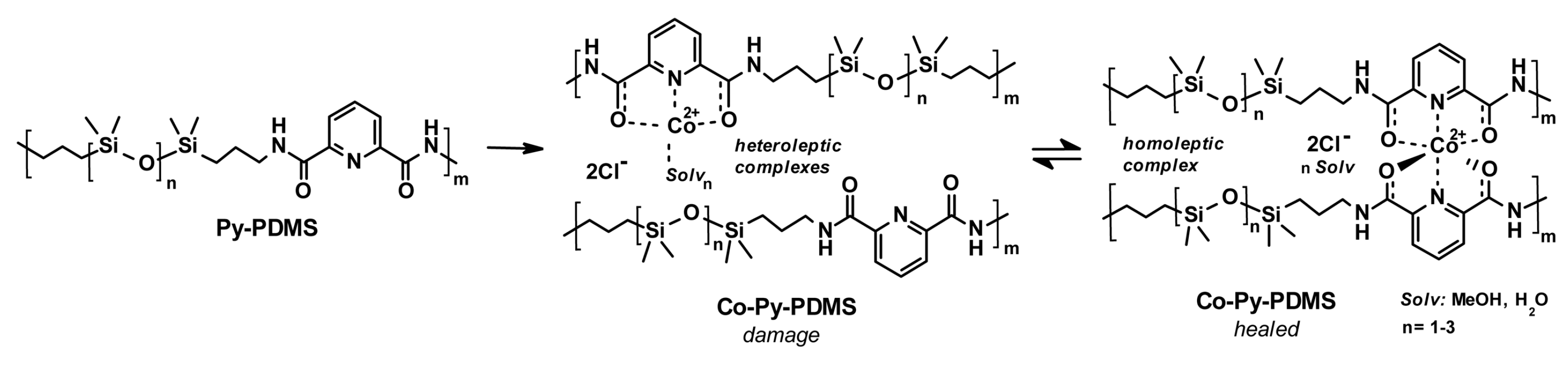 Polymers 16 00487 sch031