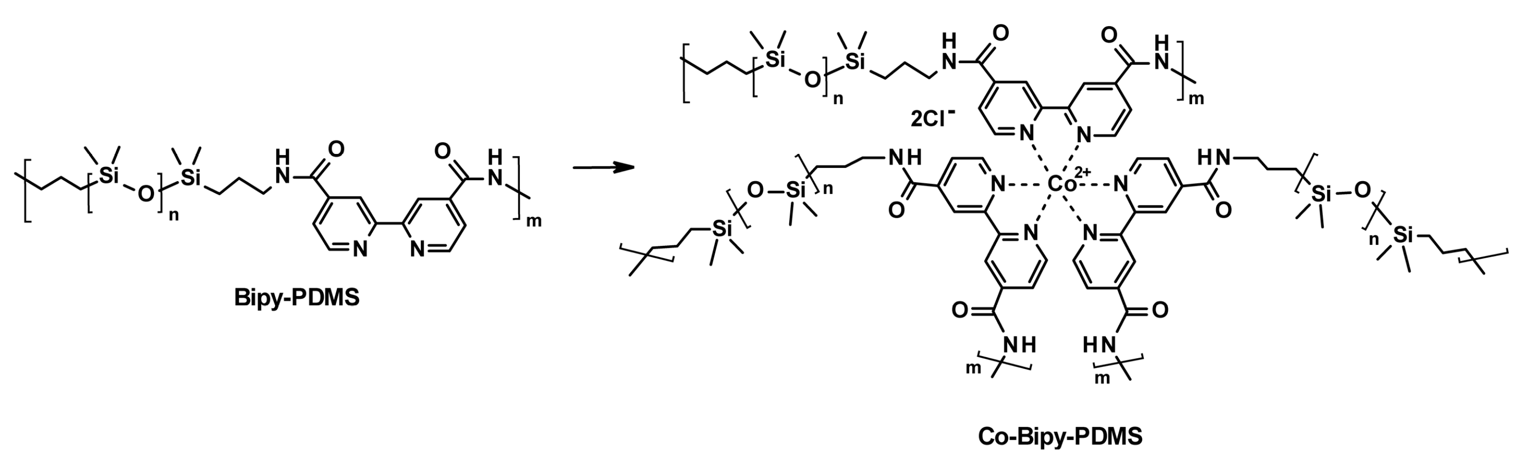 Polymers 16 00487 sch032