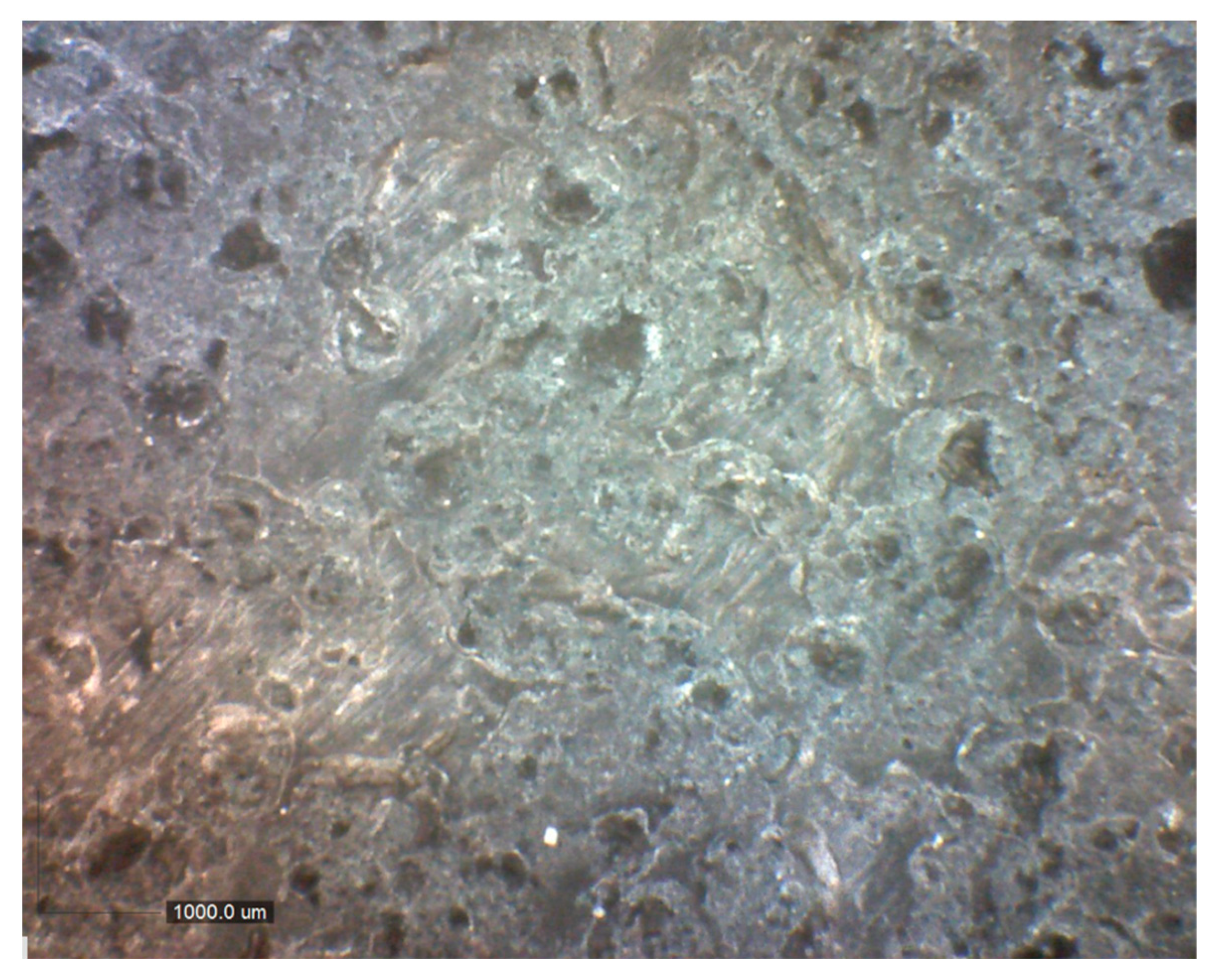 Polymers 16 00489 g001