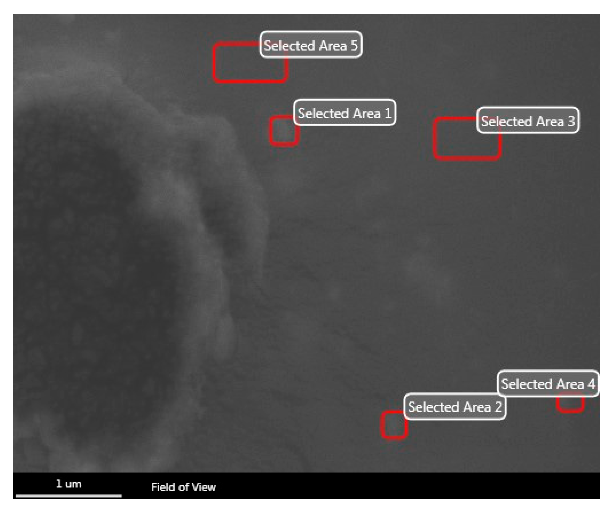 Polymers 16 00489 g003