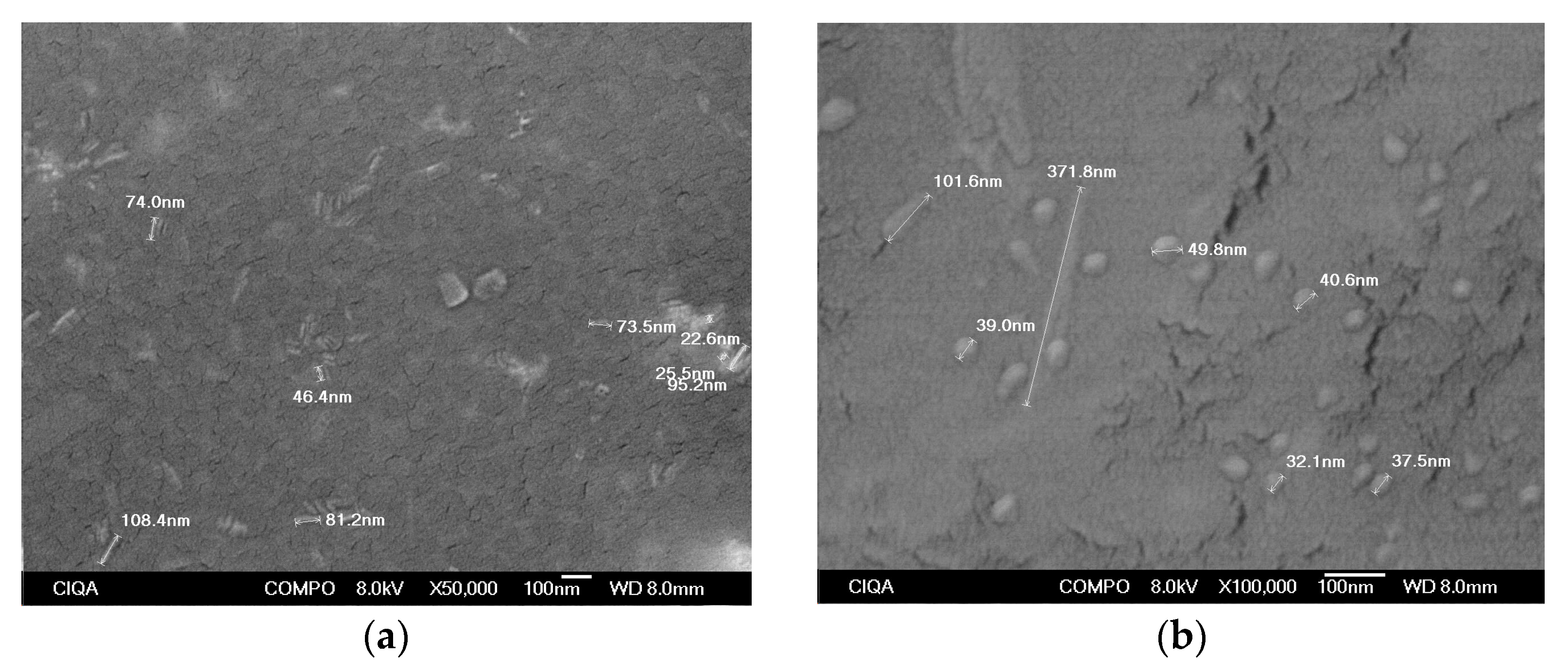 Polymers 16 00489 g006