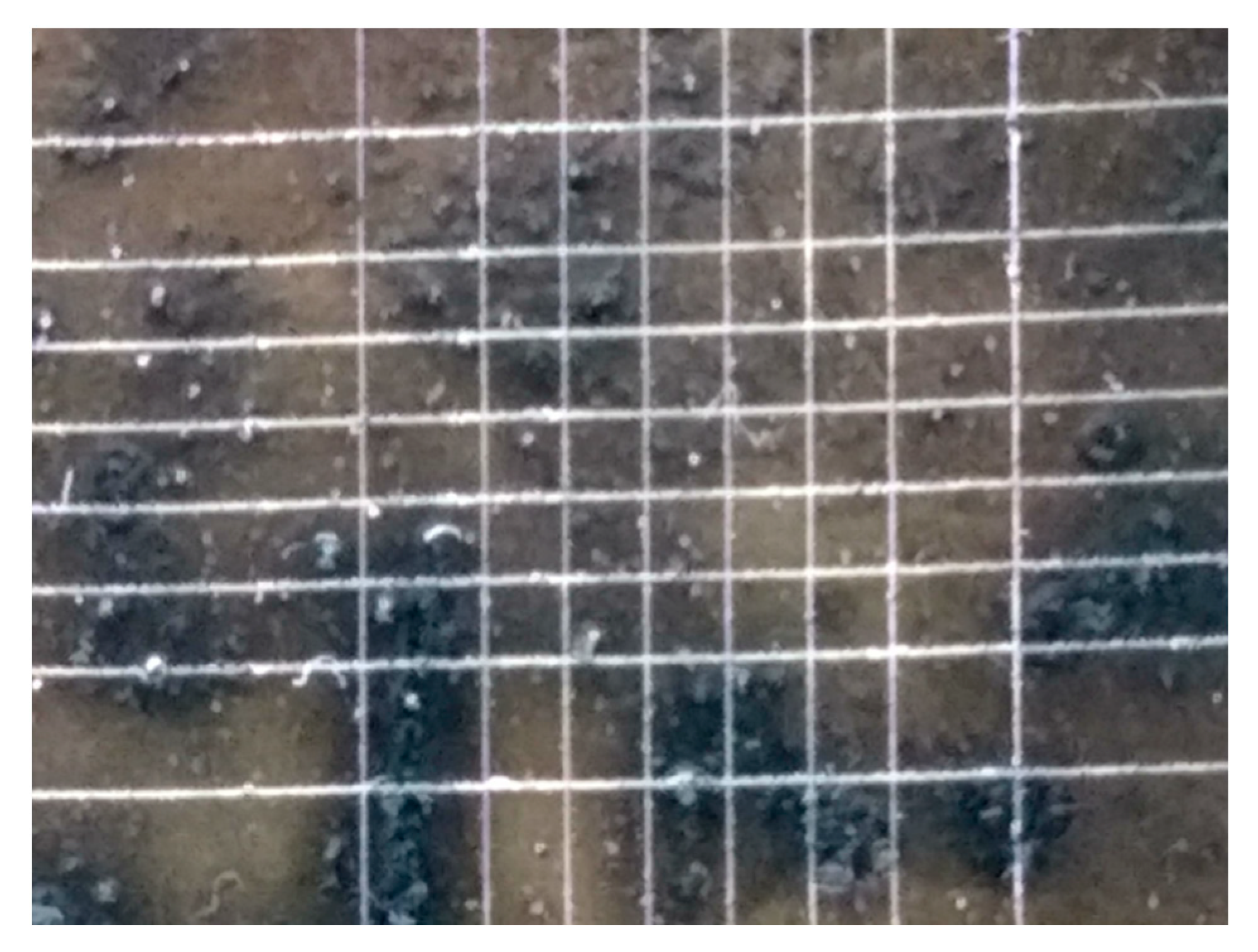 Polymers 16 00489 g009