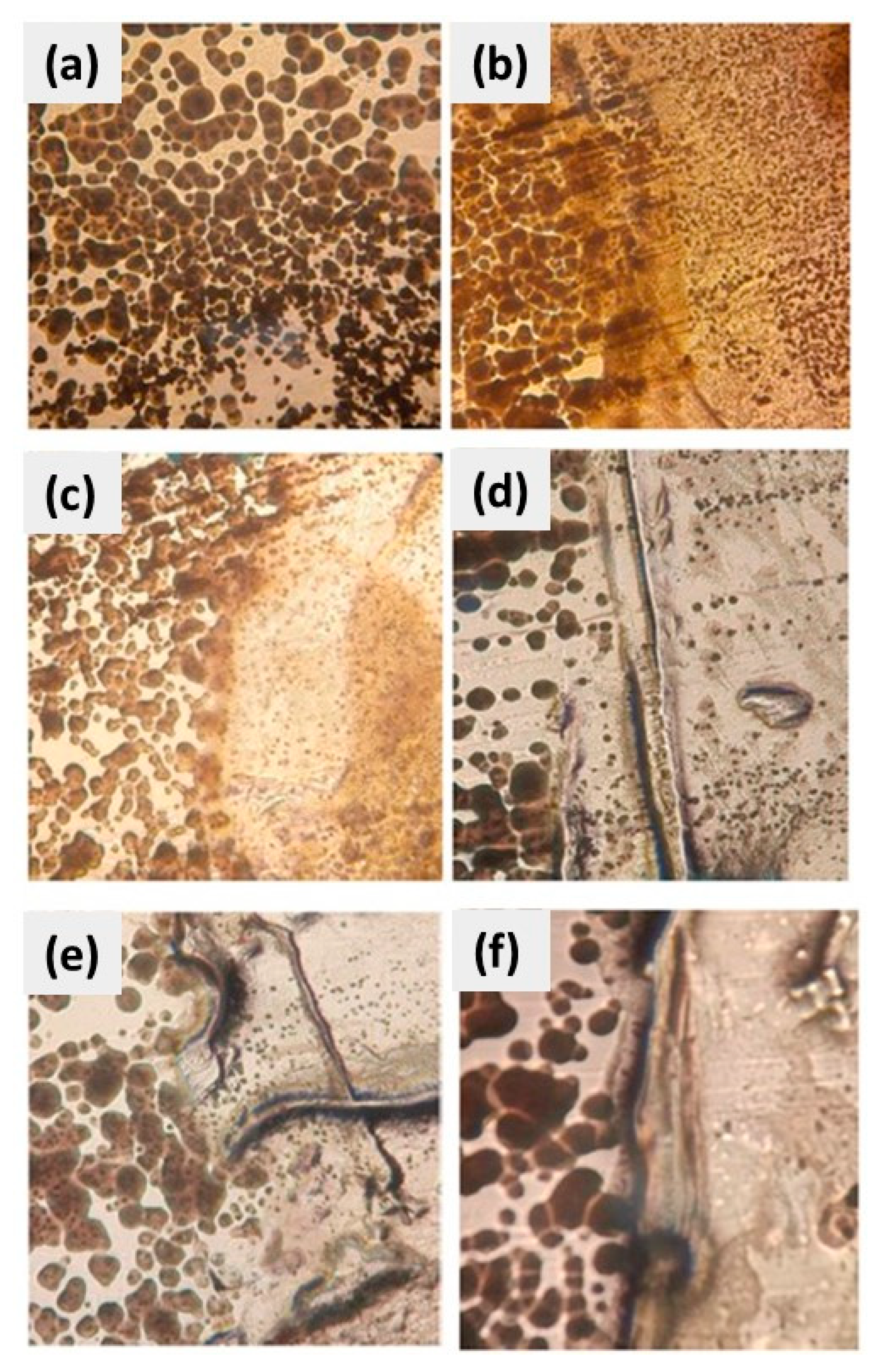 Polymers 16 00489 g014