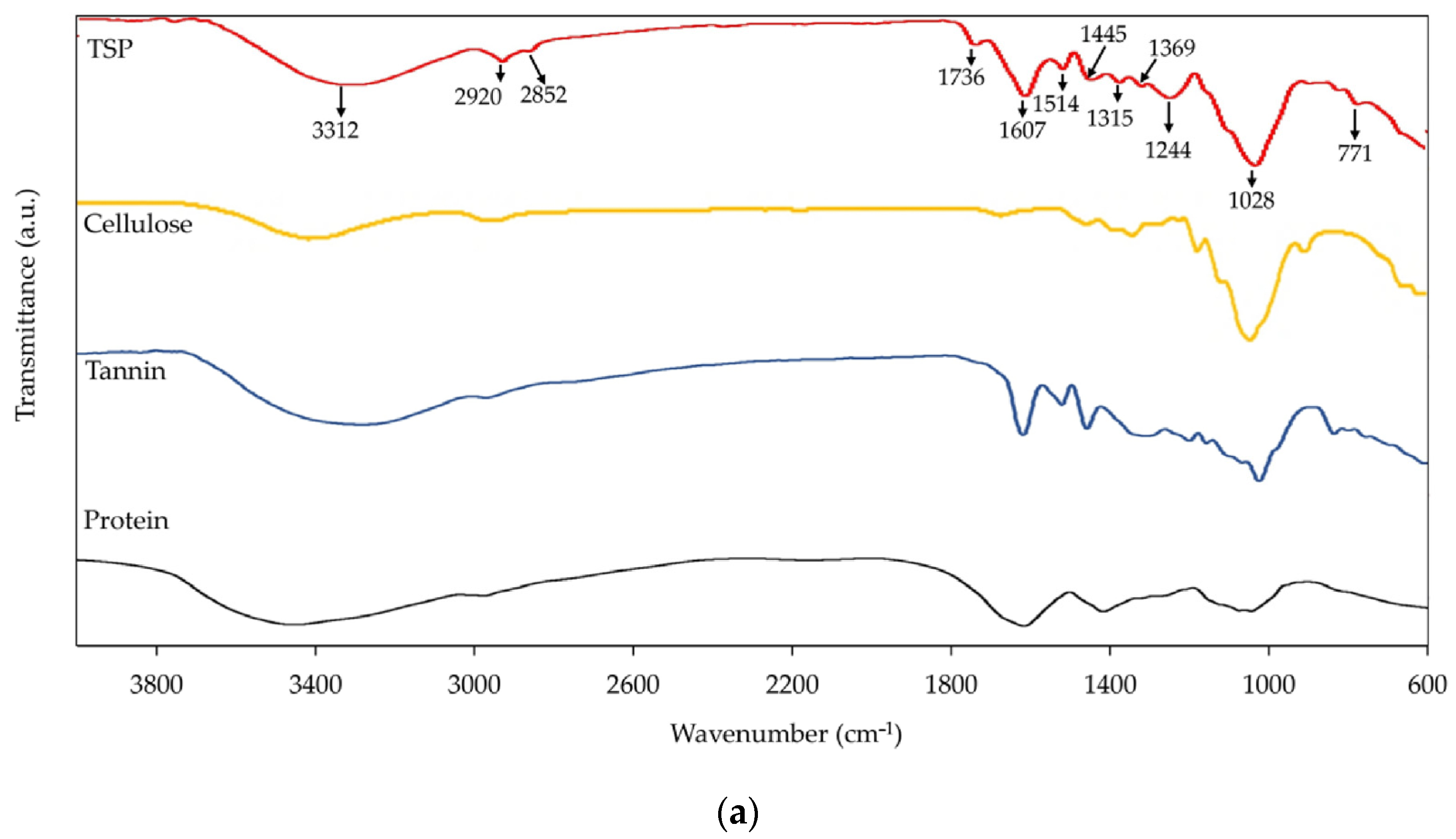 Polymers 16 00493 g002a Polymers 16 00493 g002a