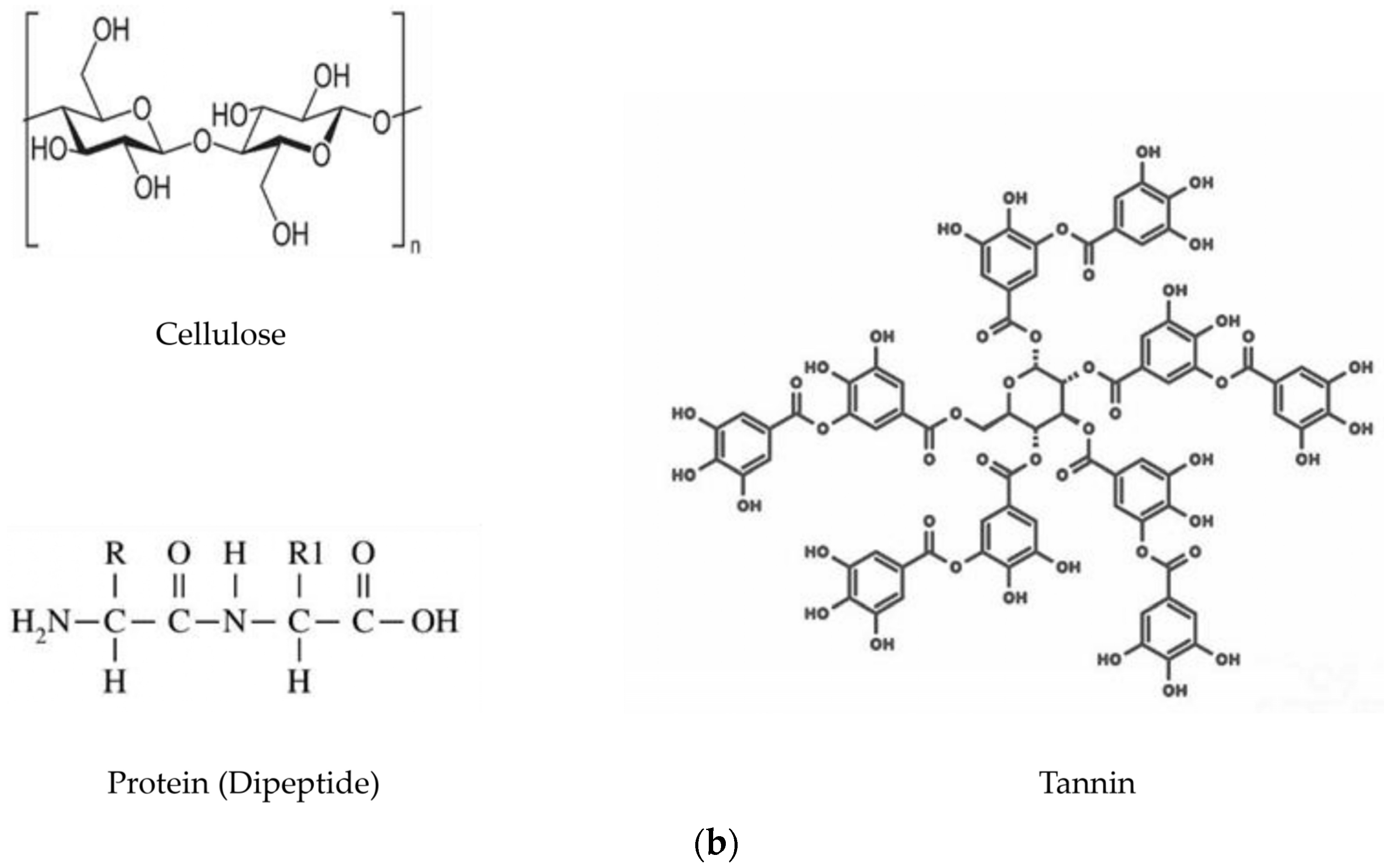 Polymers 16 00493 g002b Polymers 16 00493 g002b