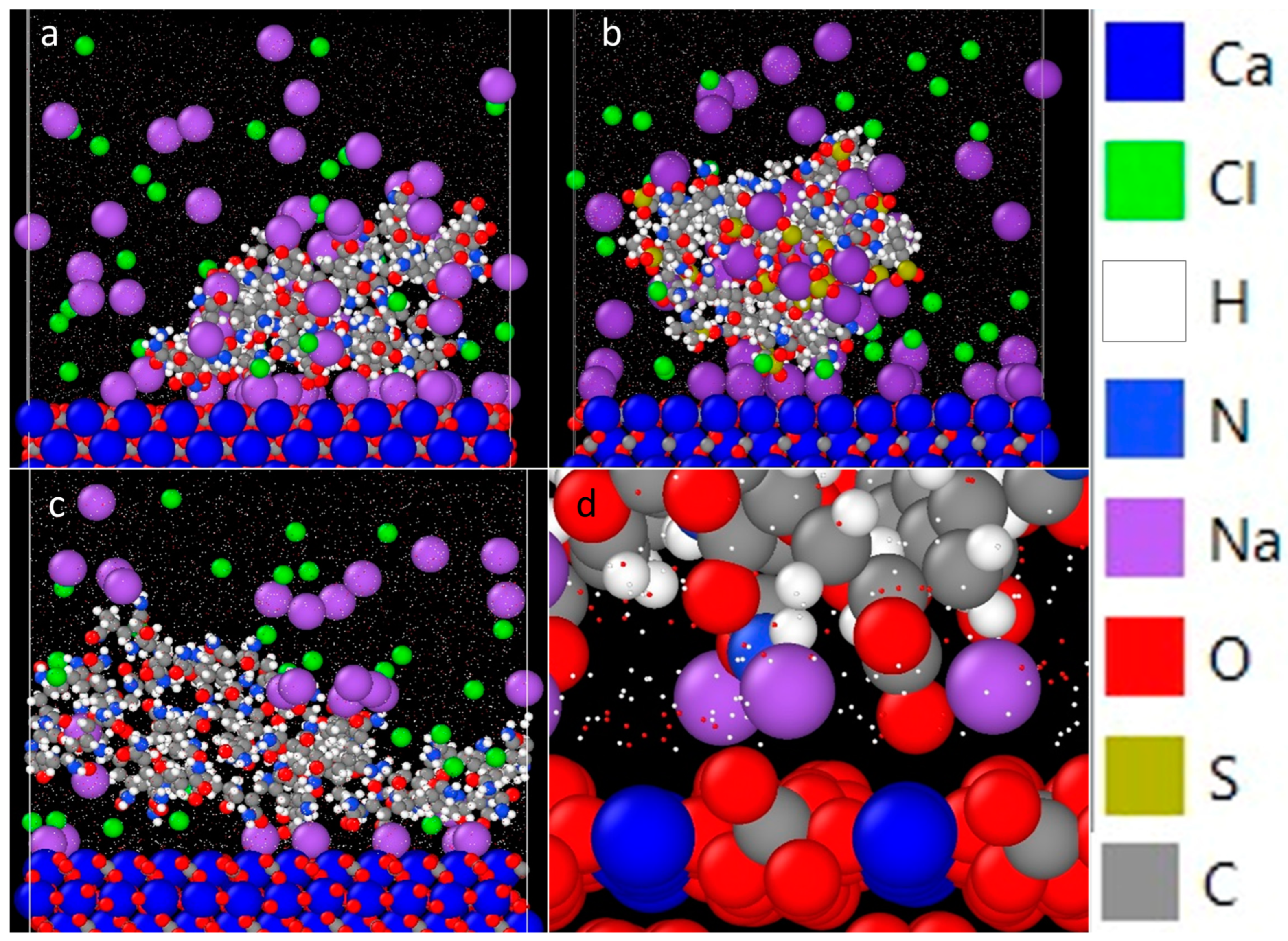 Polymers 16 00494 g006