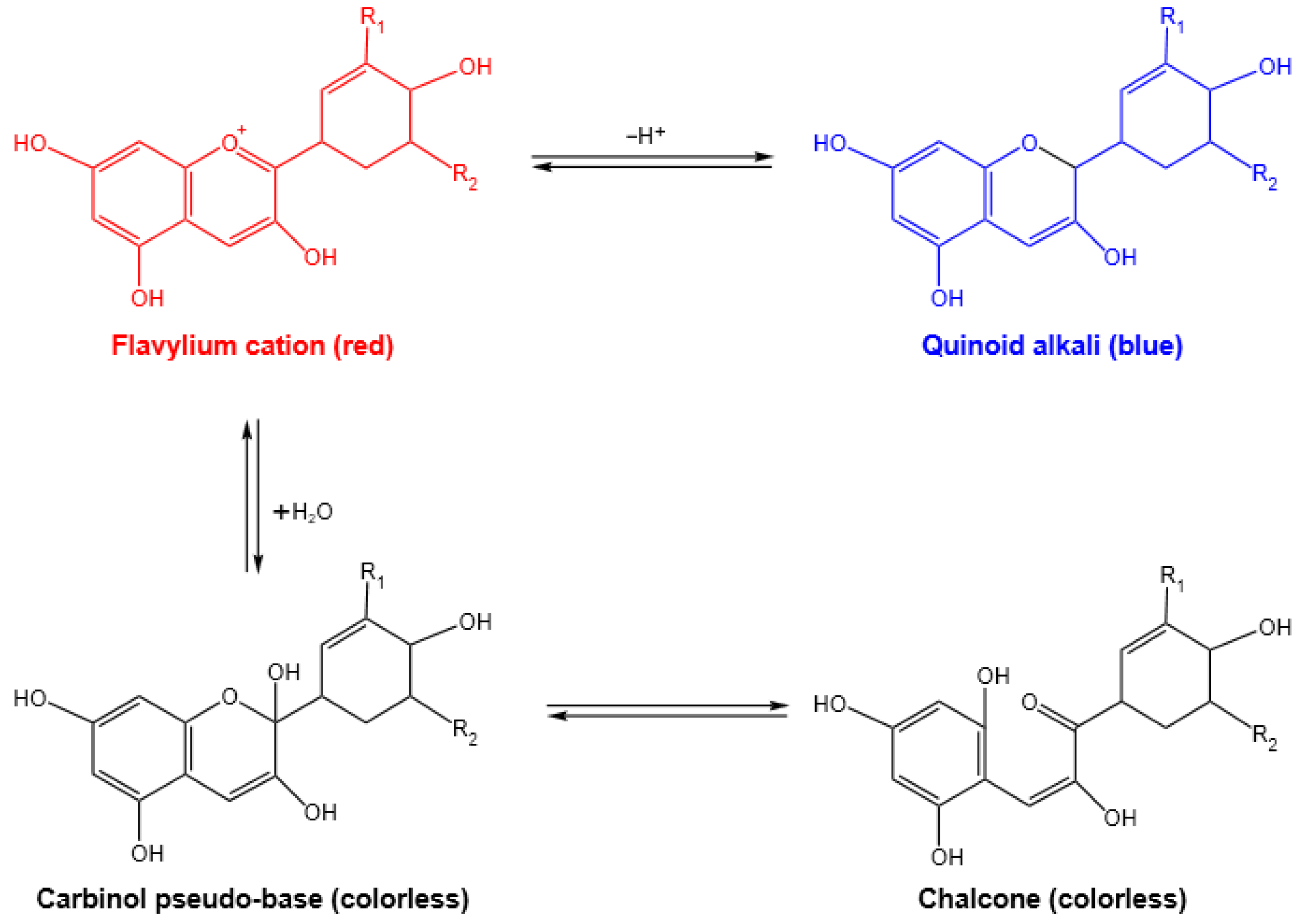 Polymers 16 00495 g001