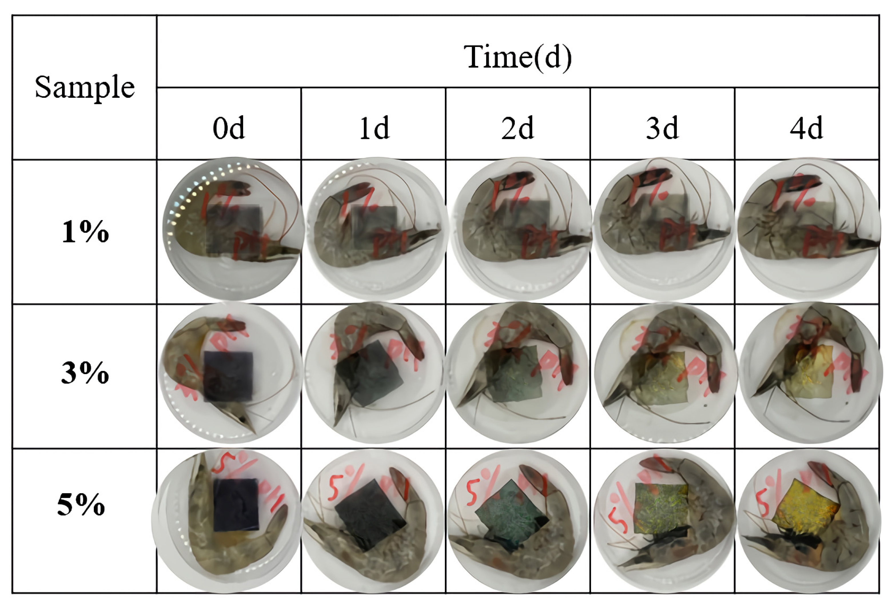 Polymers 16 00495 g004