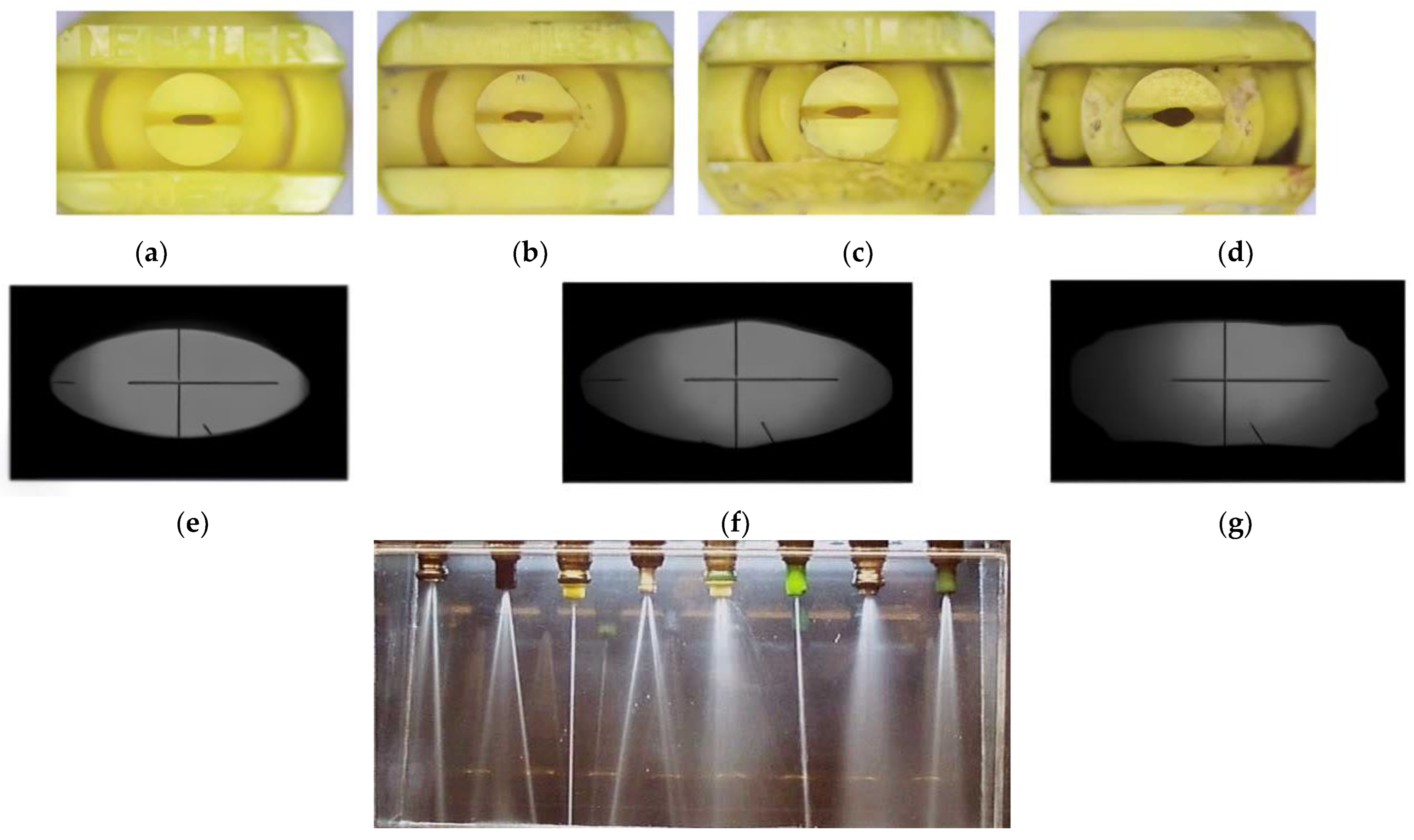 Polymers 16 00496 g001