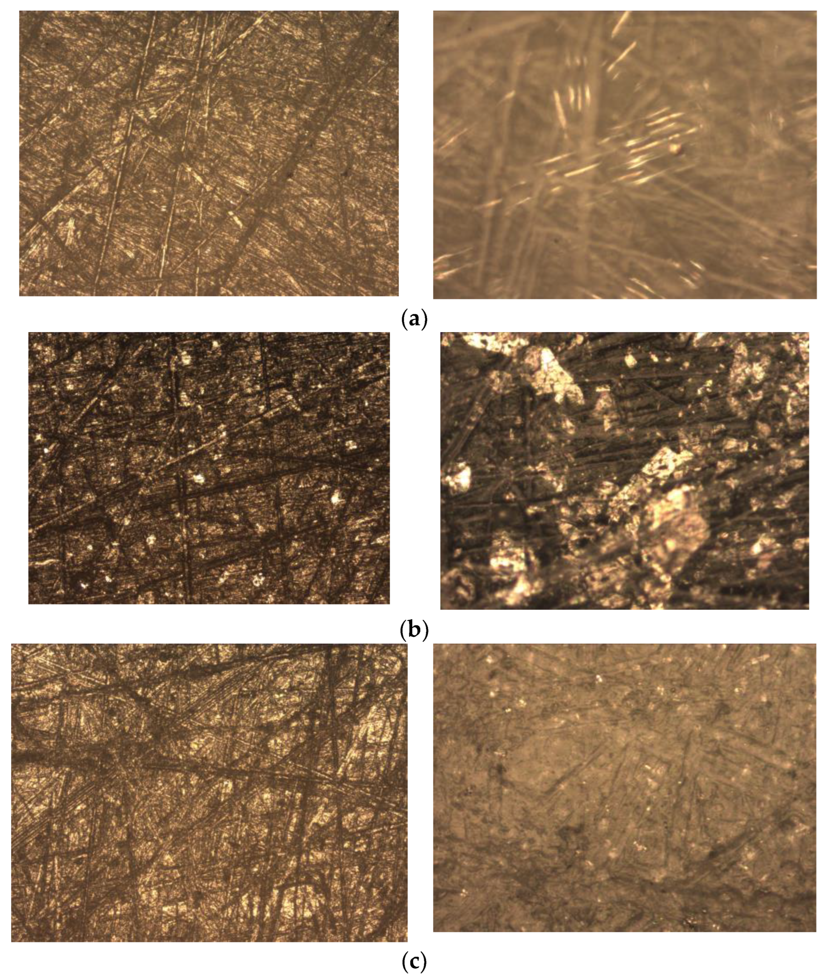 Polymers 16 00496 g011