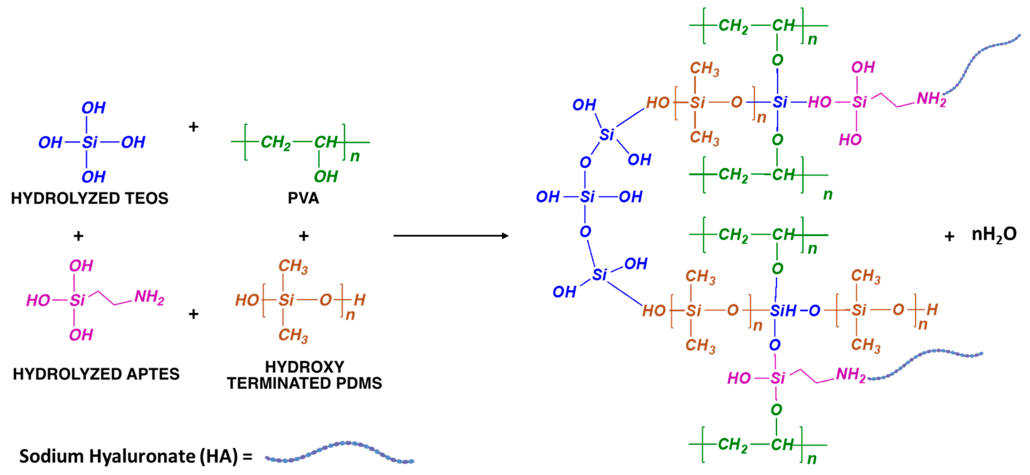 Polymers 16 00497 g001