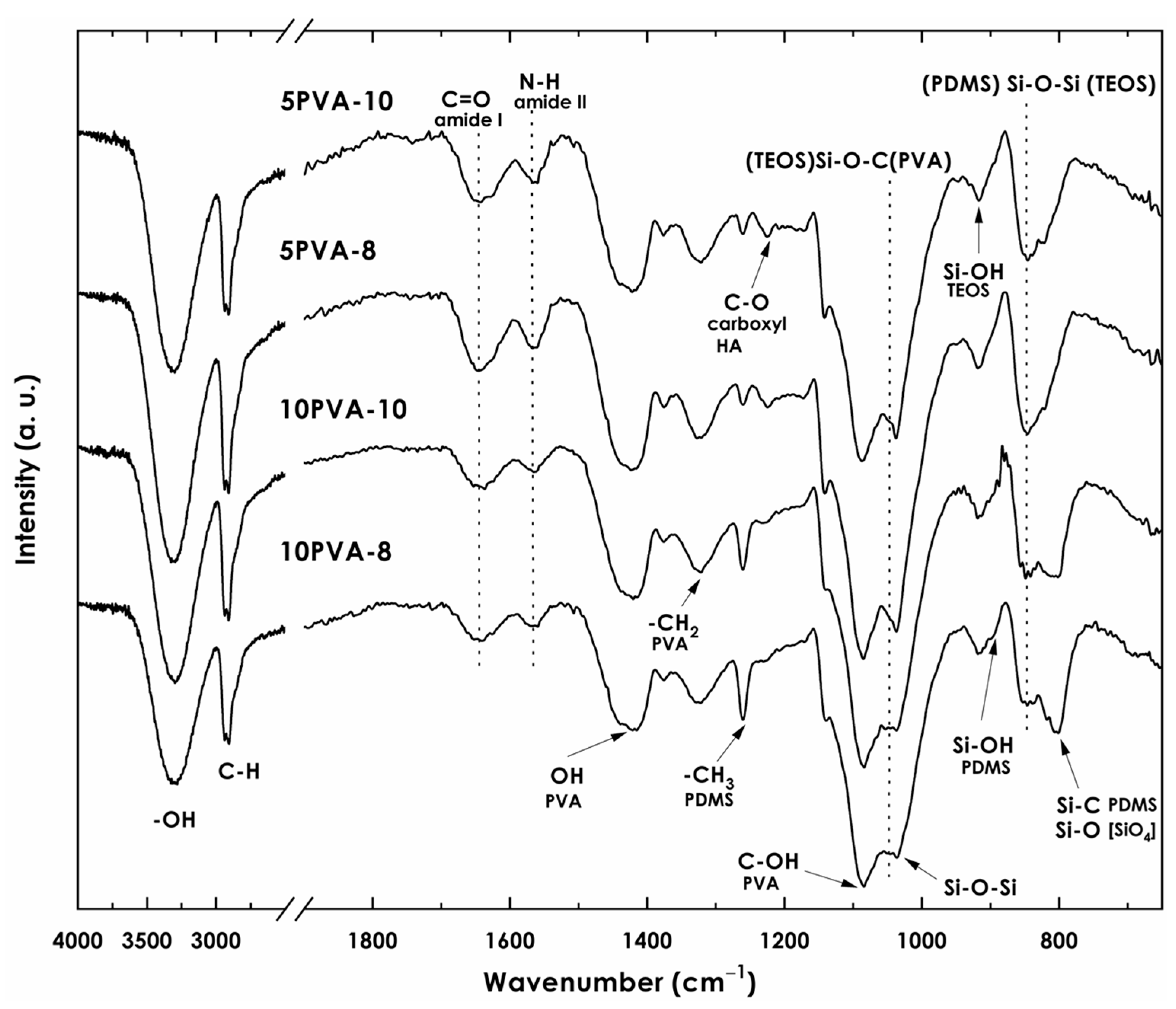 Polymers 16 00497 g002