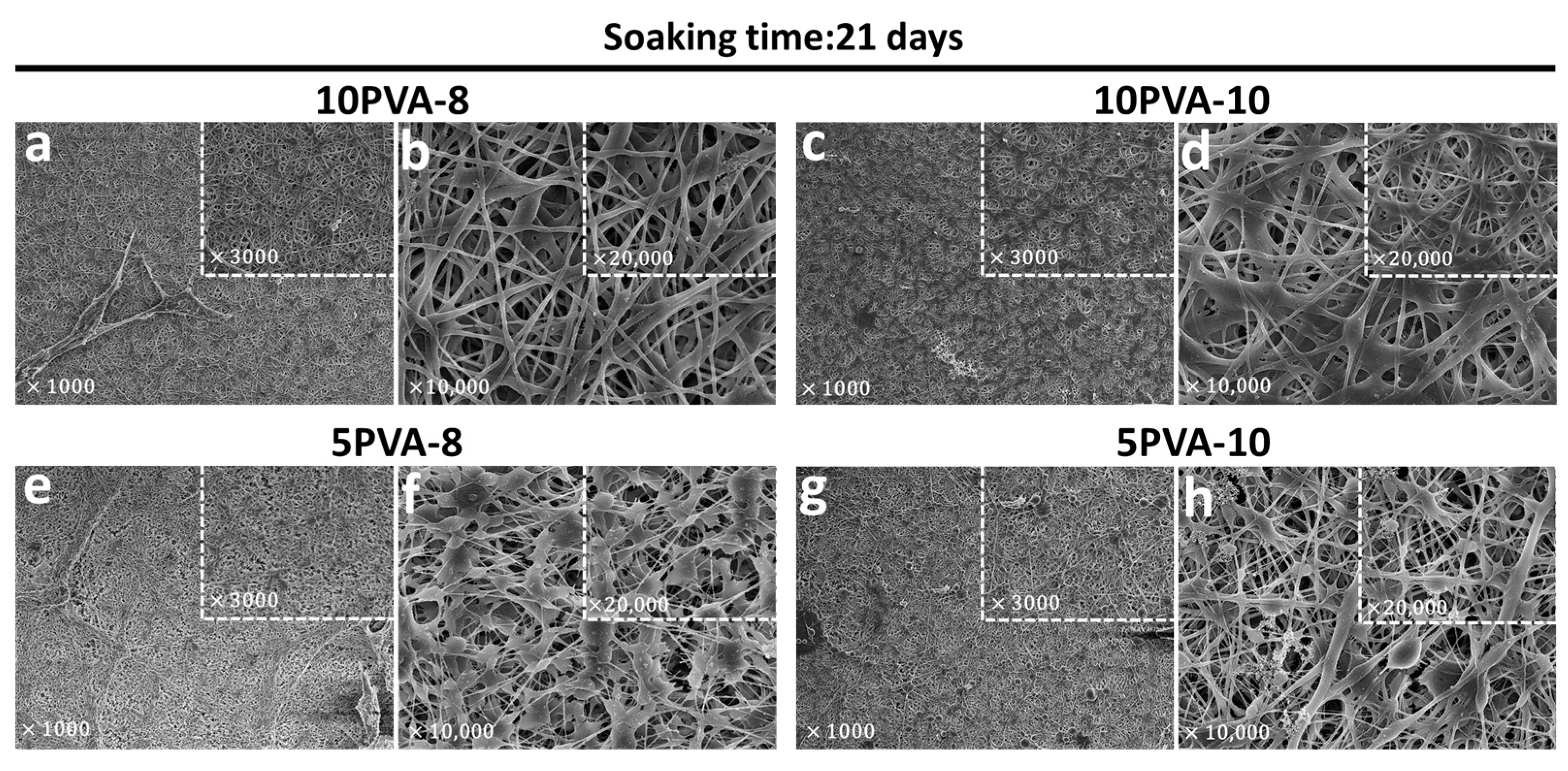 Polymers 16 00497 g005