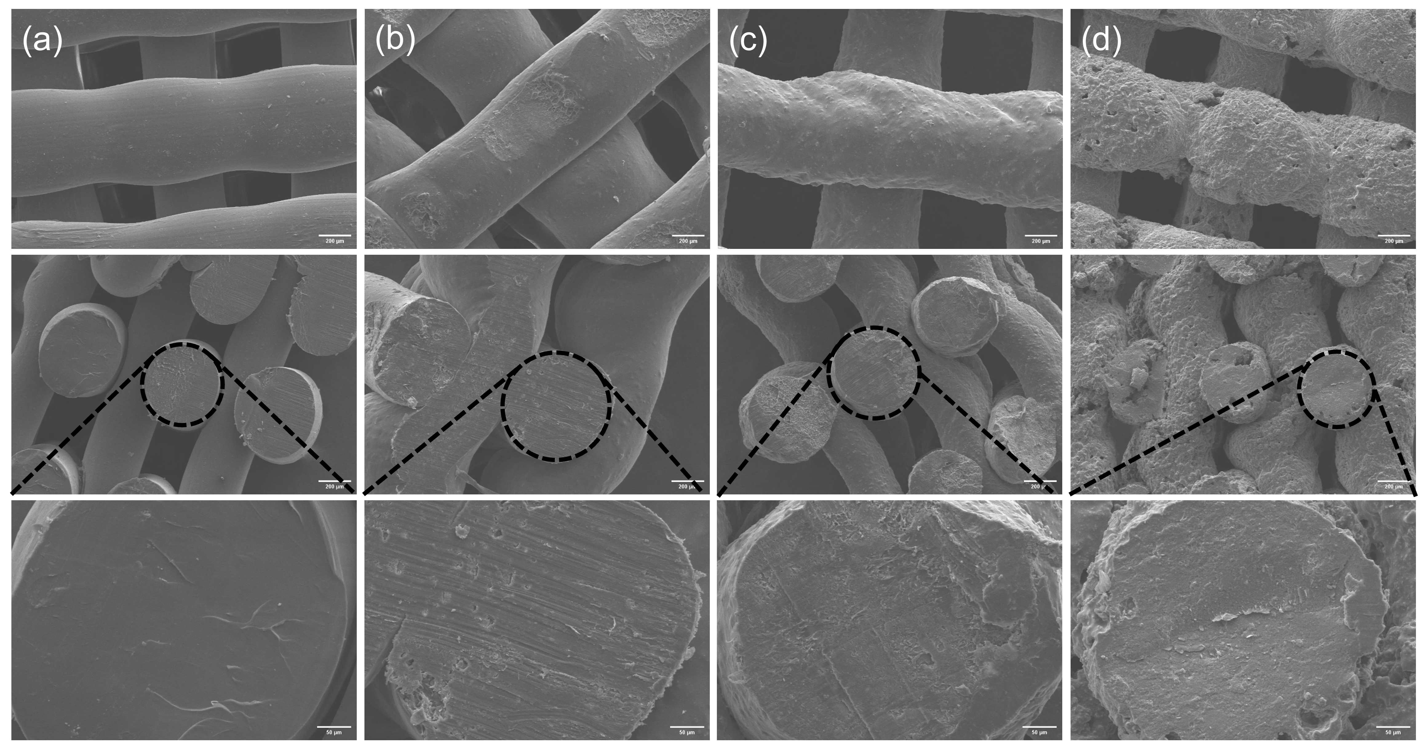 Polymers 16 00498 g003