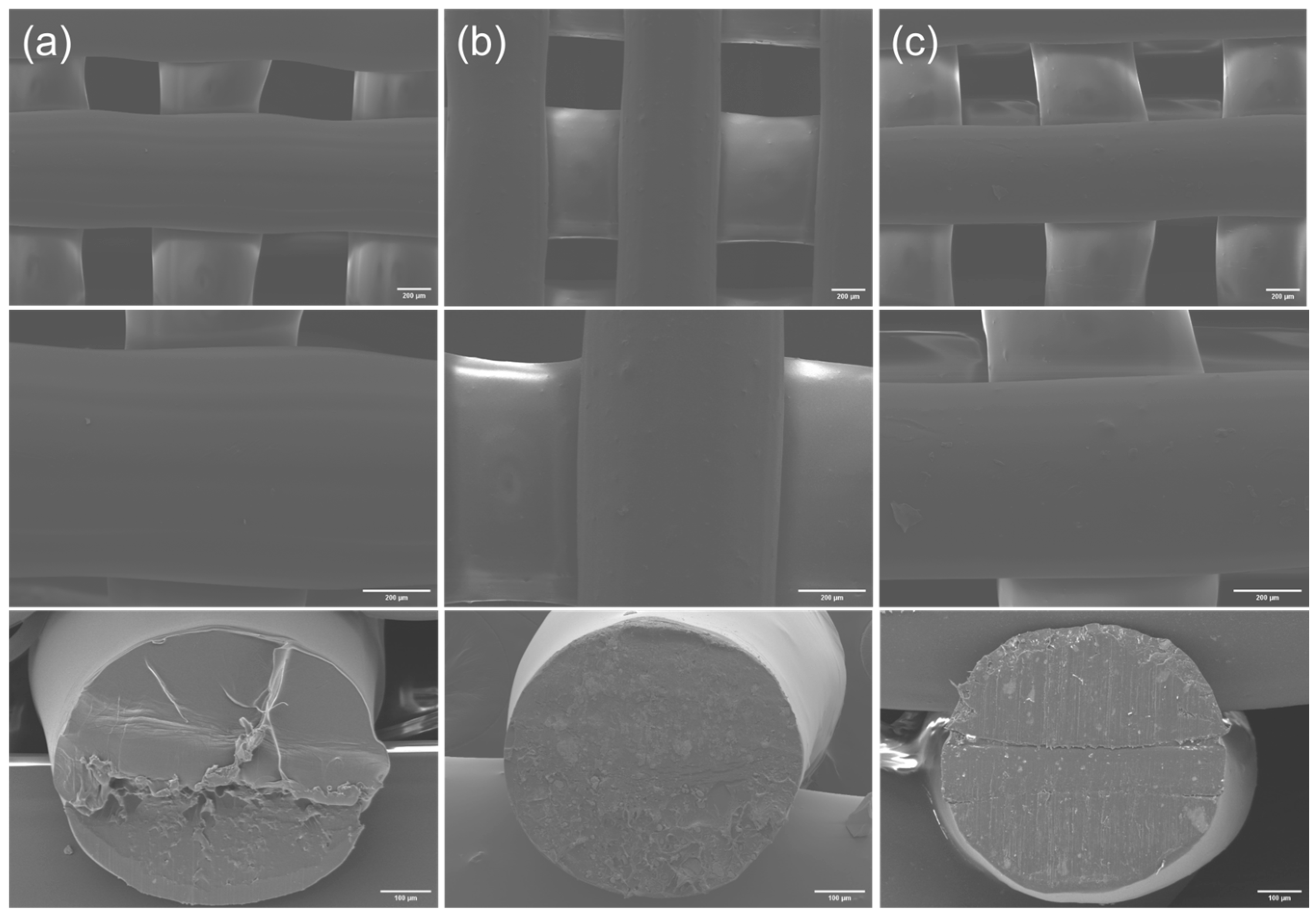 Polymers 16 00498 g004