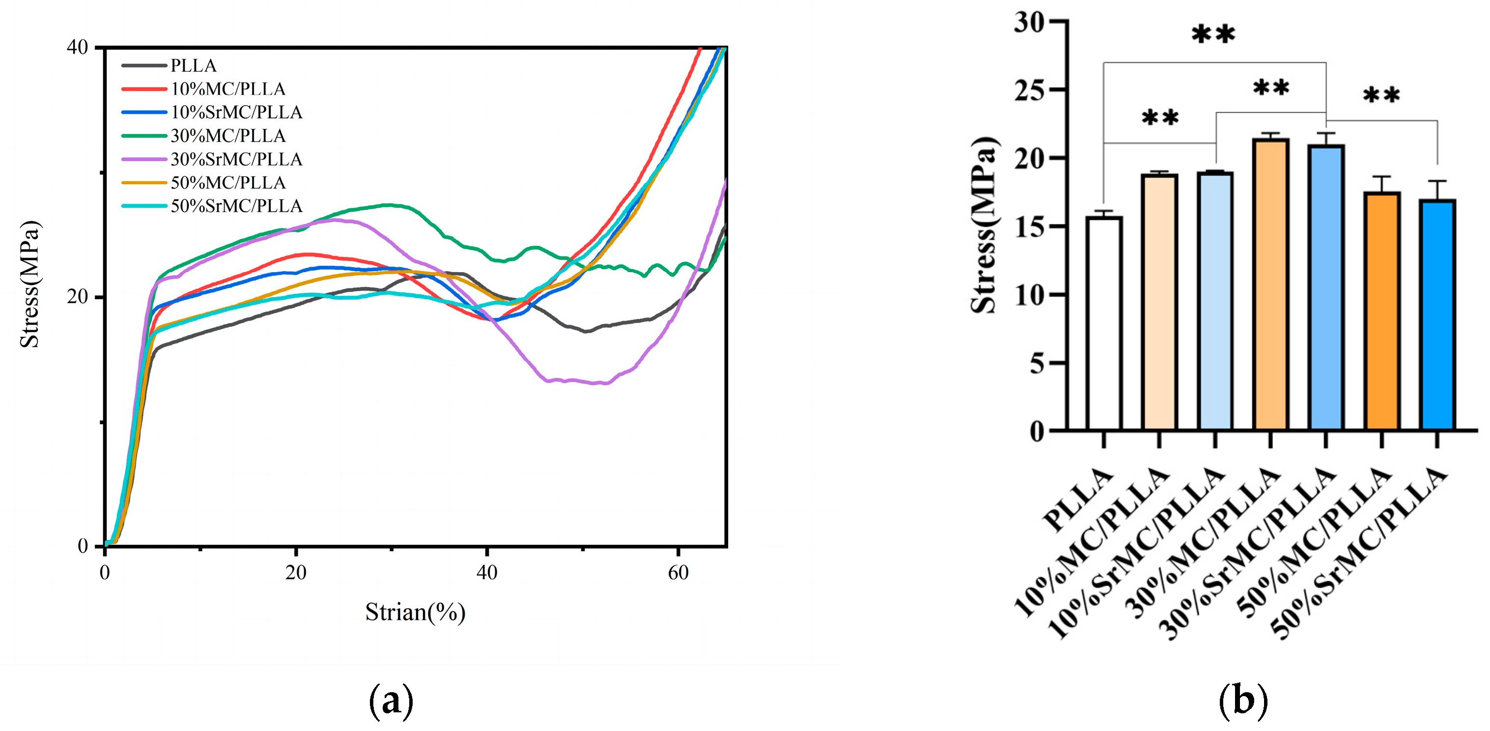 Polymers 16 00498 g006