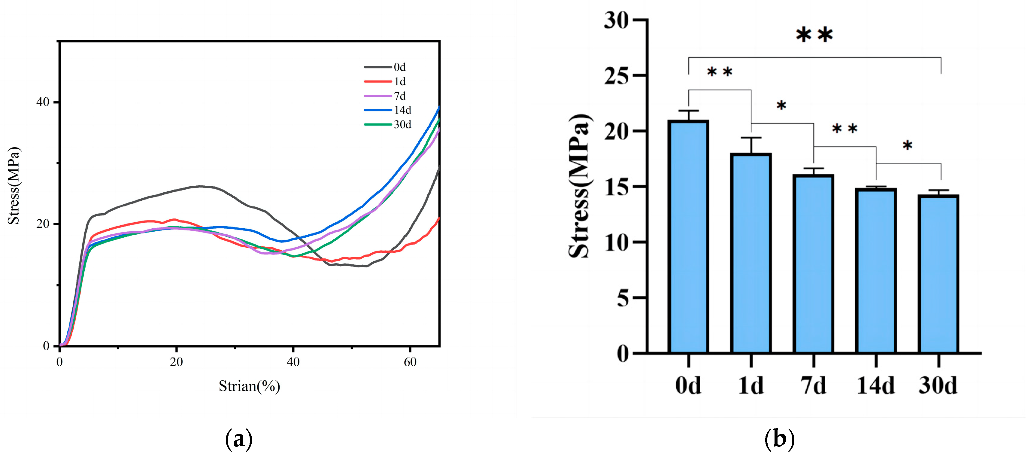 Polymers 16 00498 g007