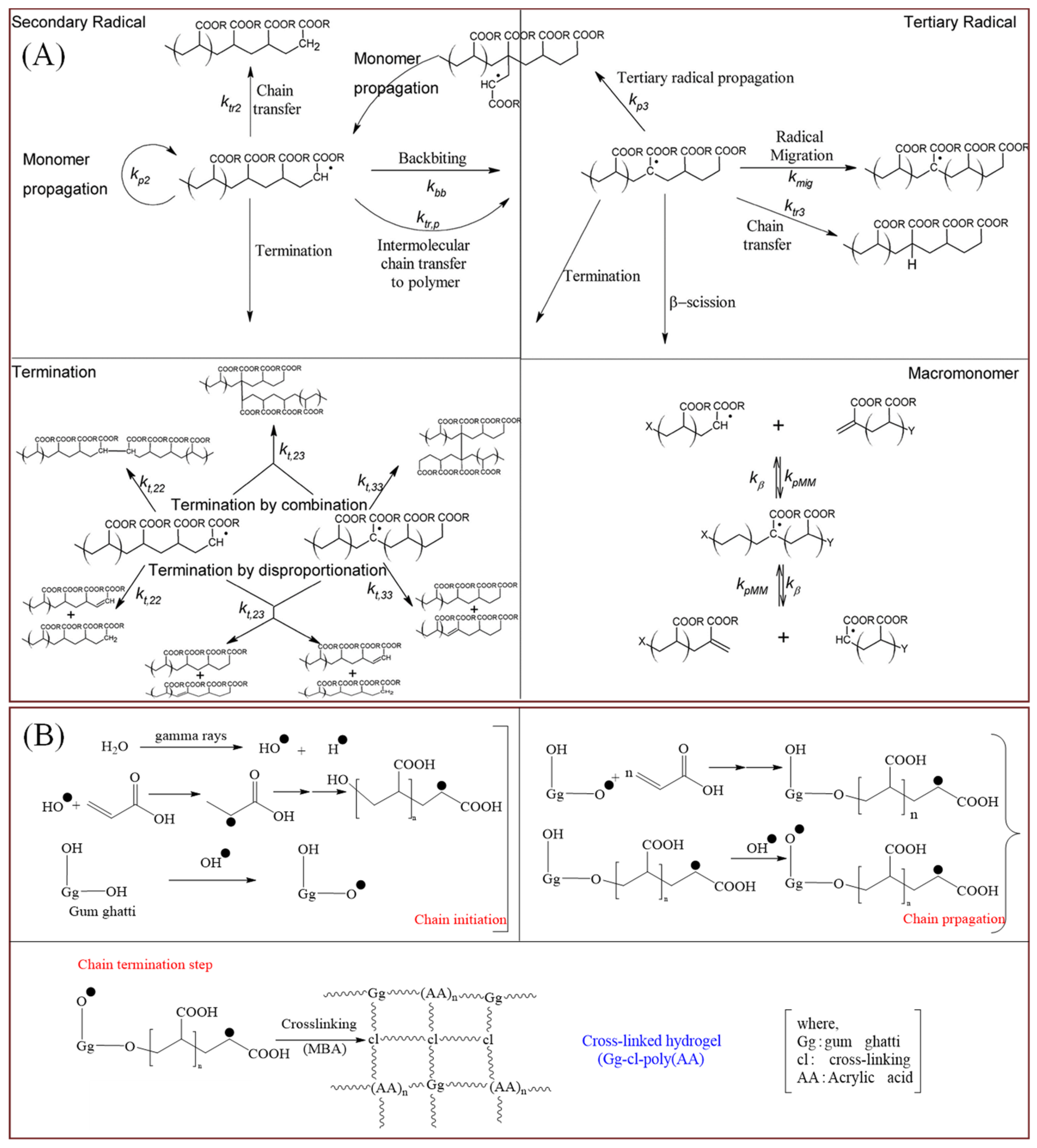 Polymers 16 00501 g001