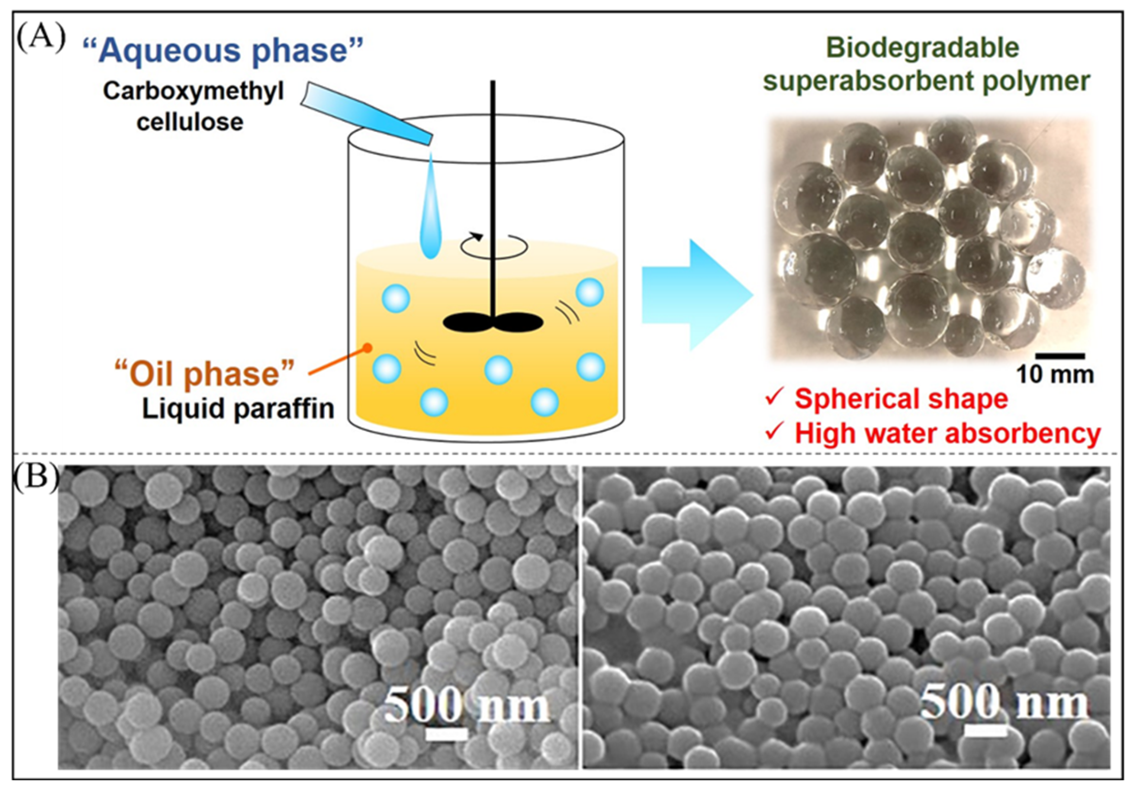 Polymers 16 00501 g007