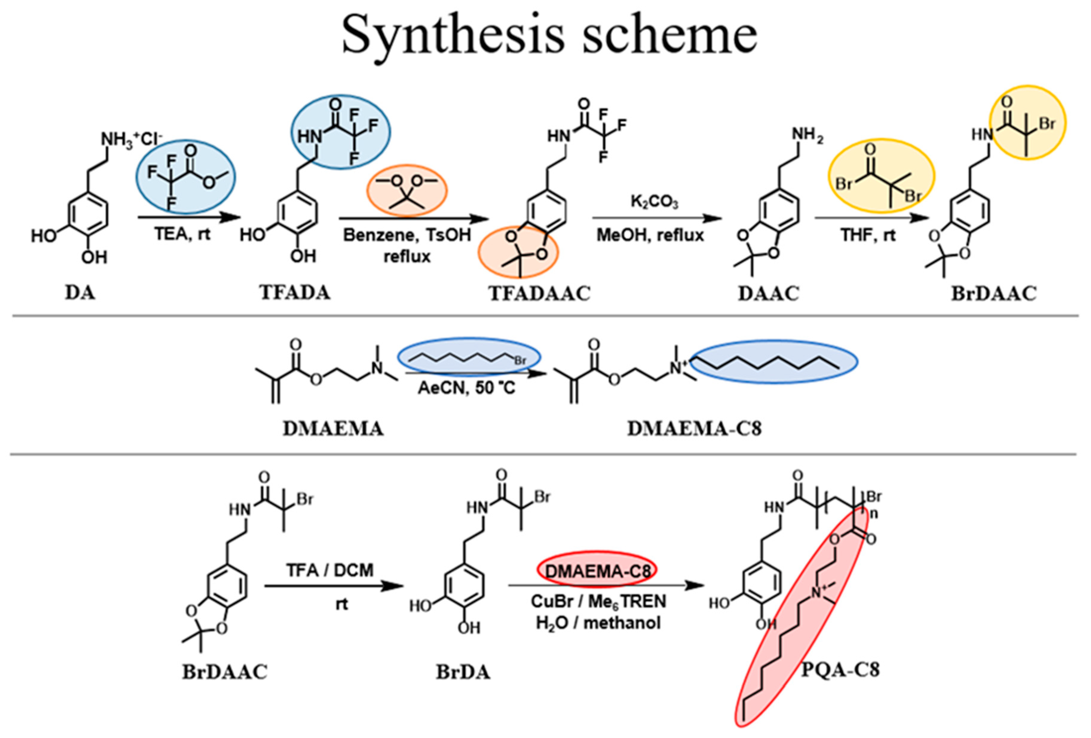 Polymers 16 00503 sch001