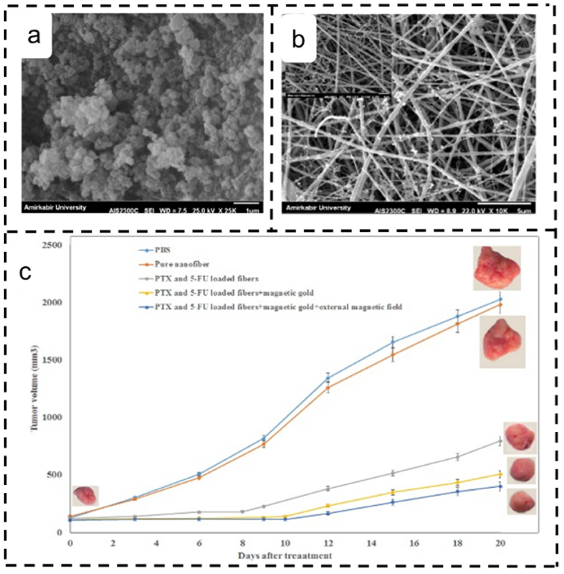Polymers 16 00504 g005