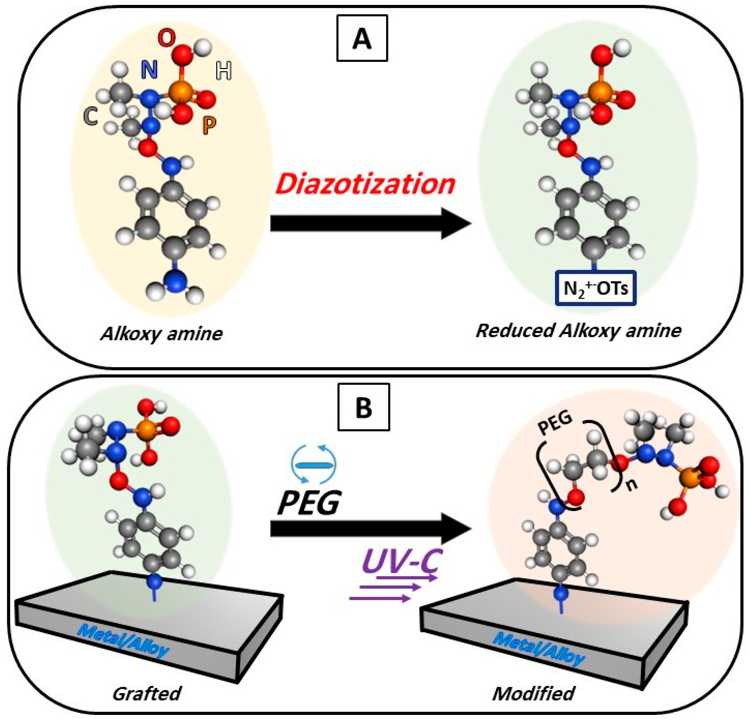 Polymers 16 00508 g001