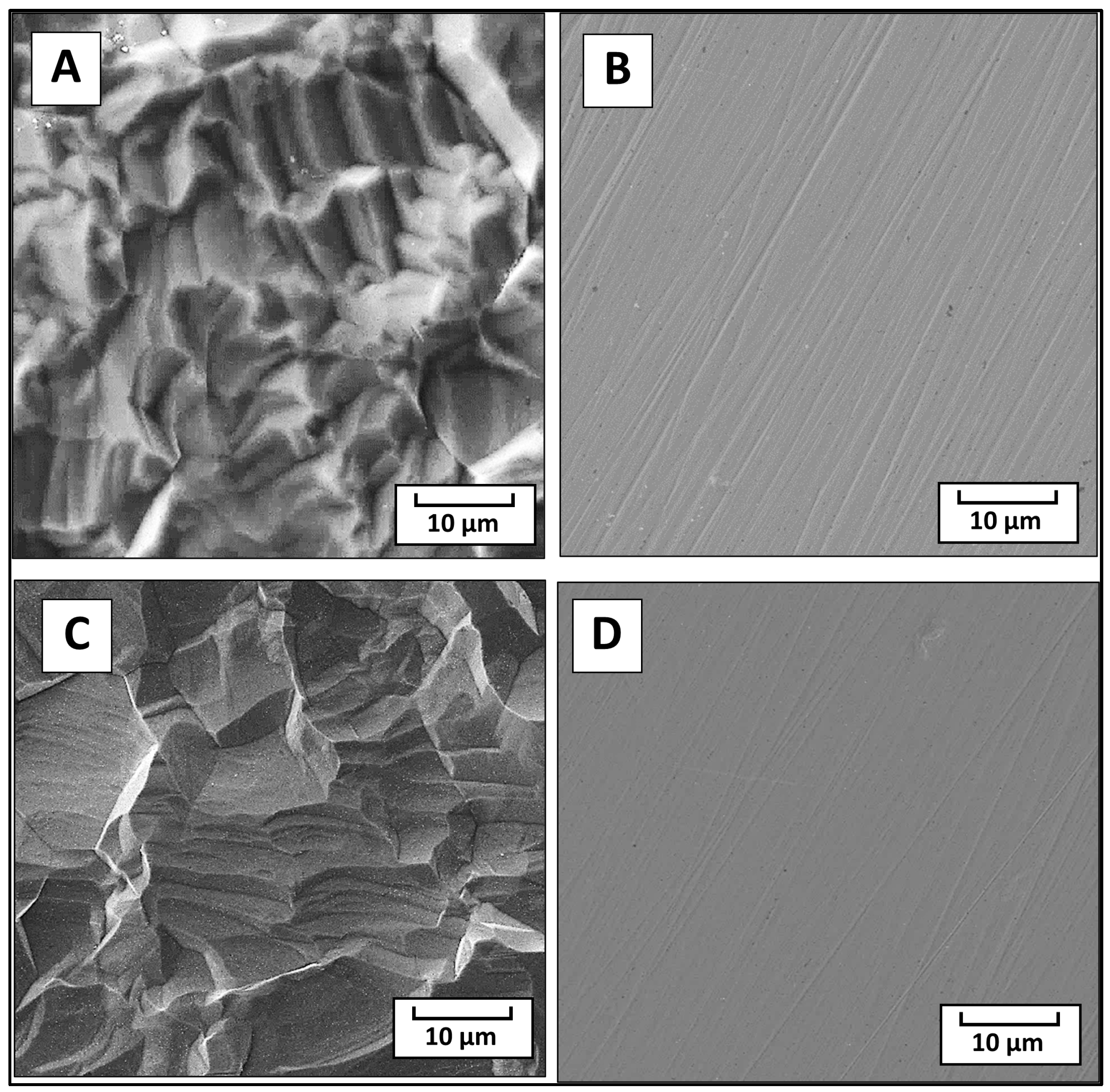 Polymers 16 00508 g003