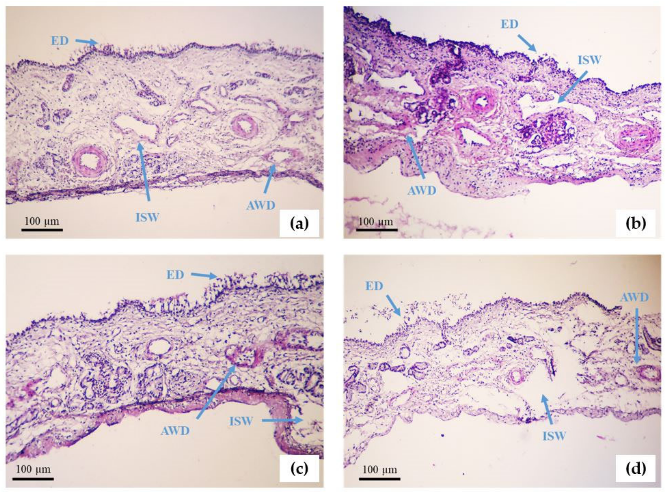 Polymers 16 00510 g009