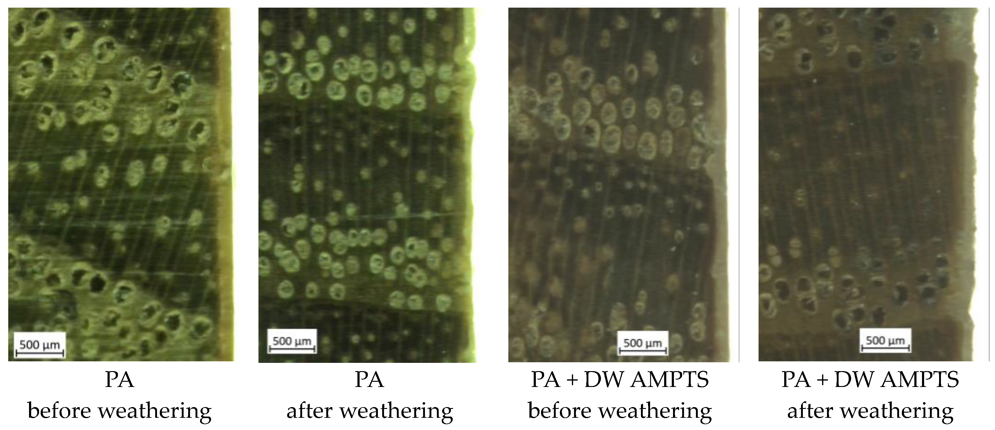 Polymers 16 00511 g005