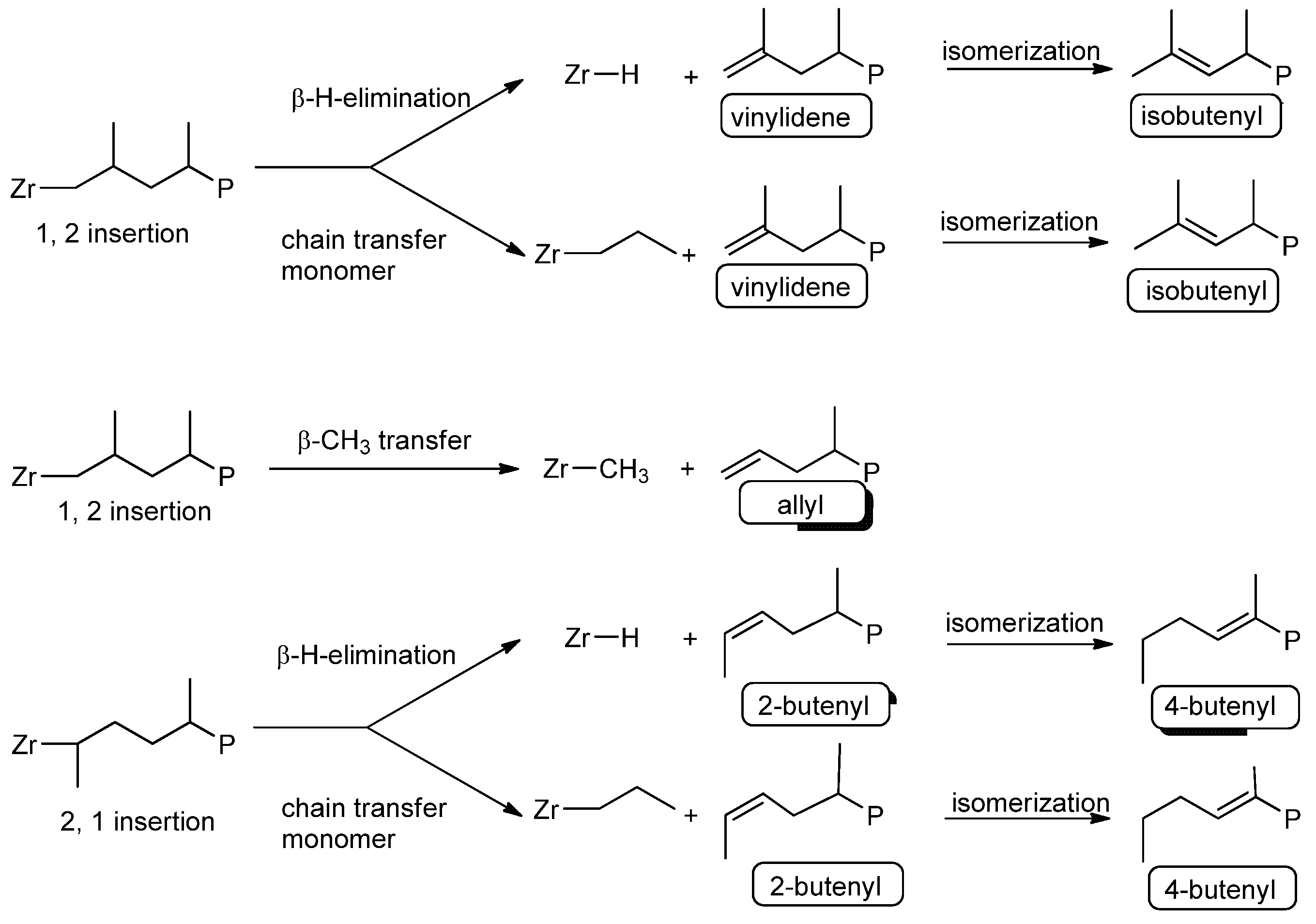 Polymers 16 00512 sch002