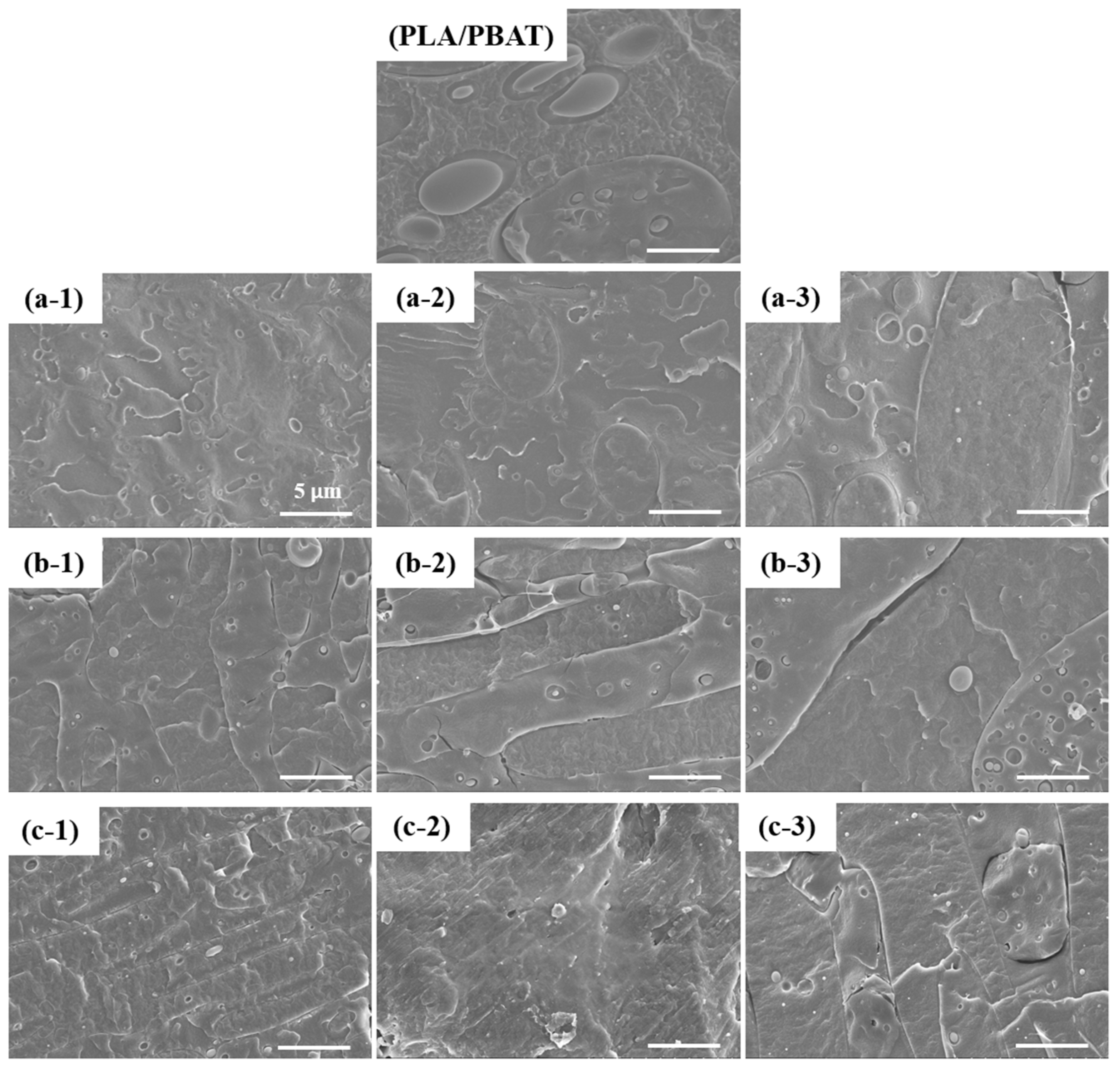Polymers 16 00518 g005 Polymers 16 00518 g005
