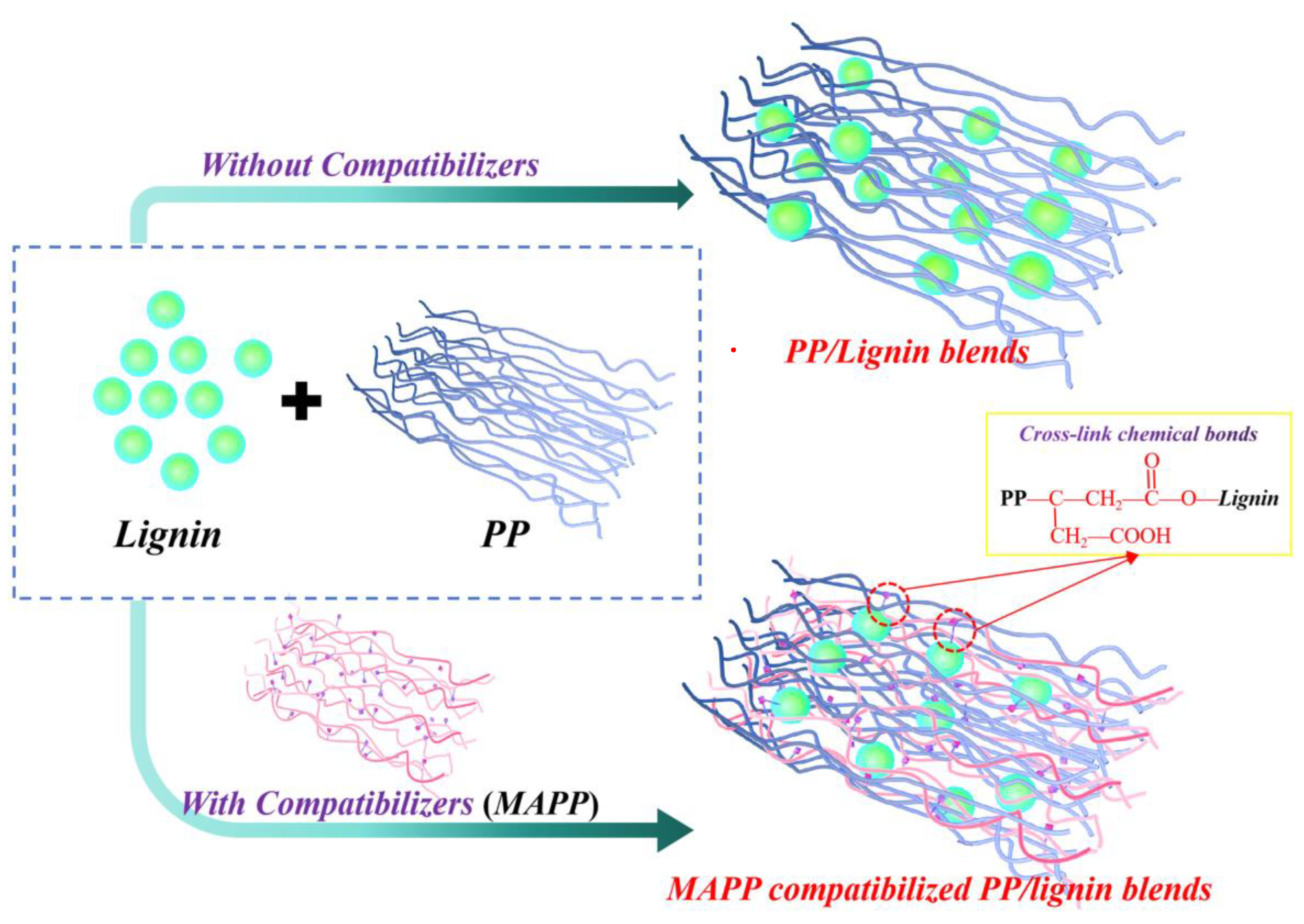 Polymers 16 00520 sch001