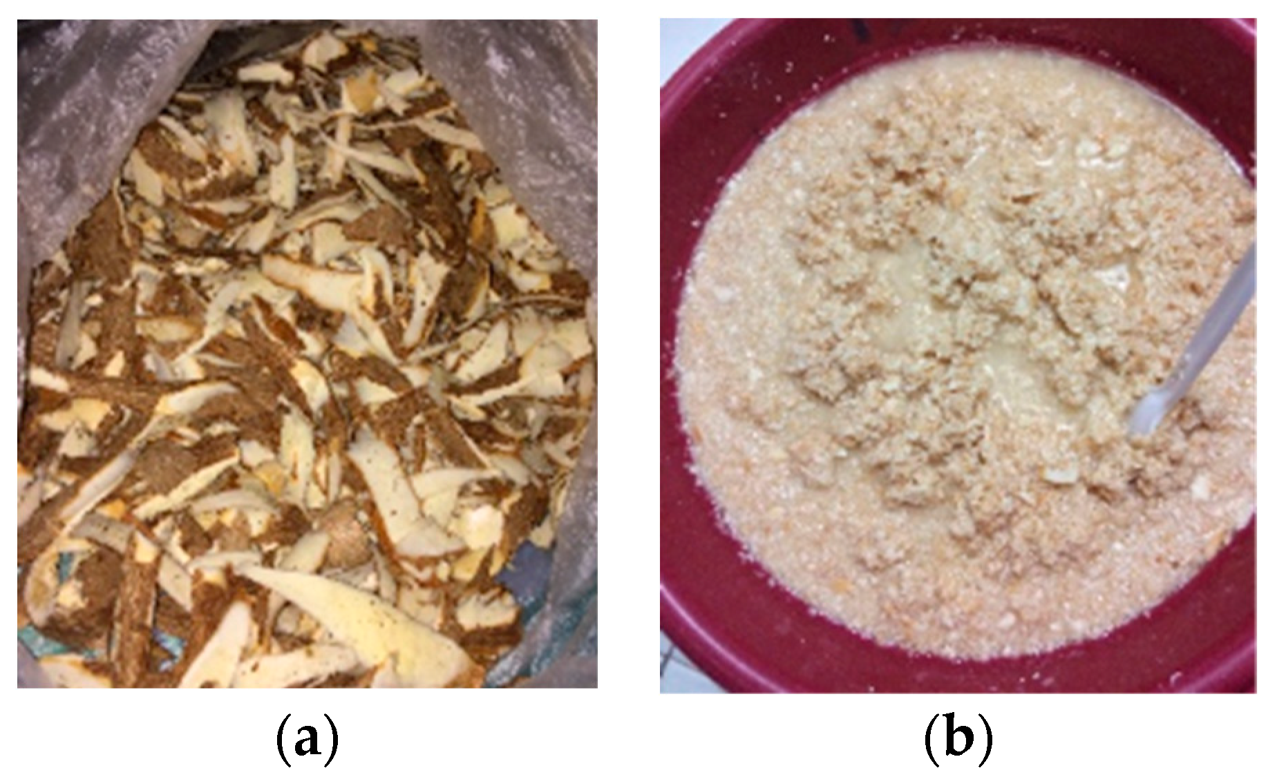 Polymers 16 00523 g001