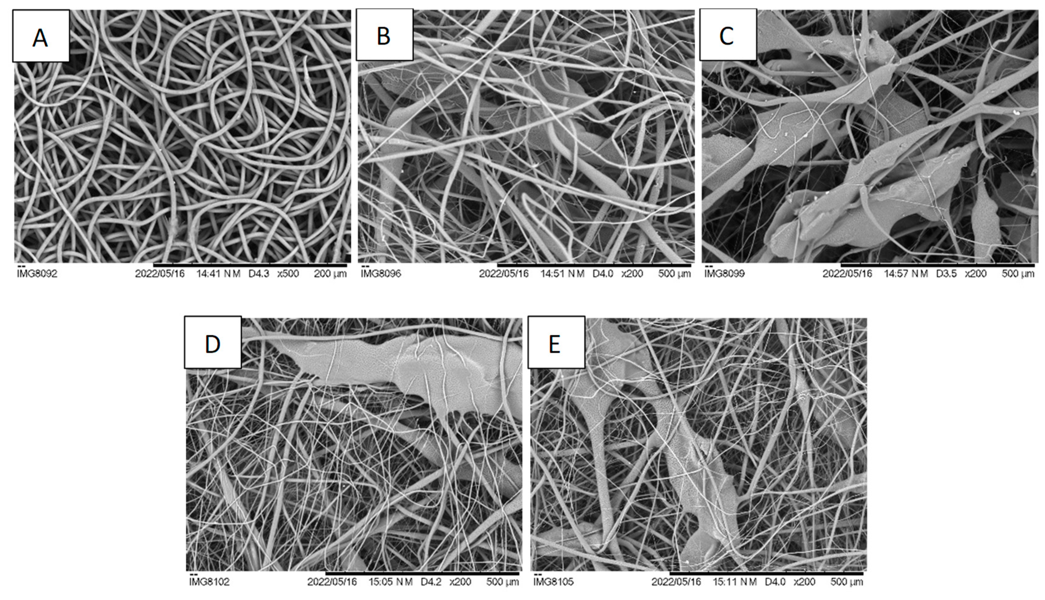 Polymers 16 00527 g002