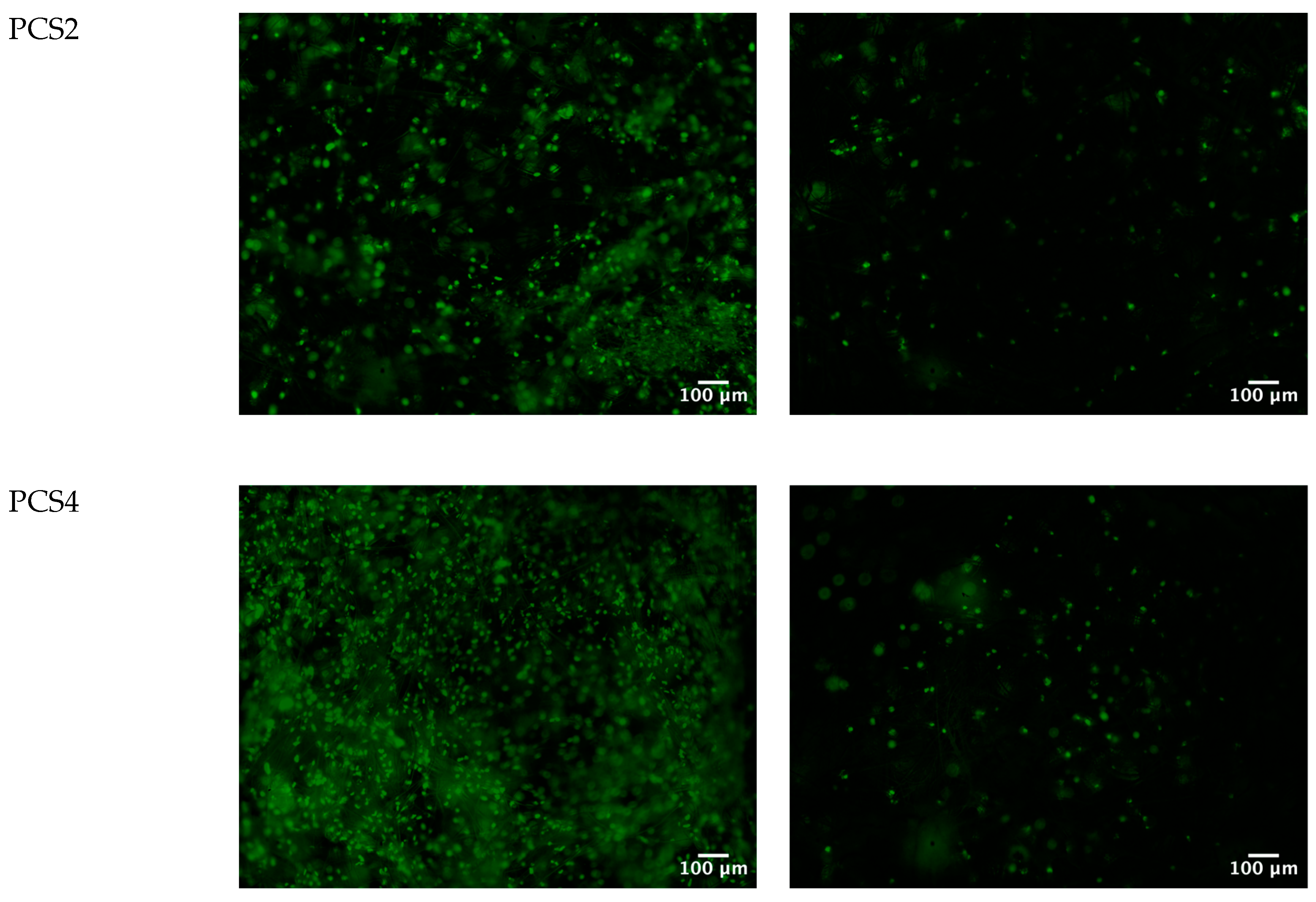 Polymers 16 00527 g006b