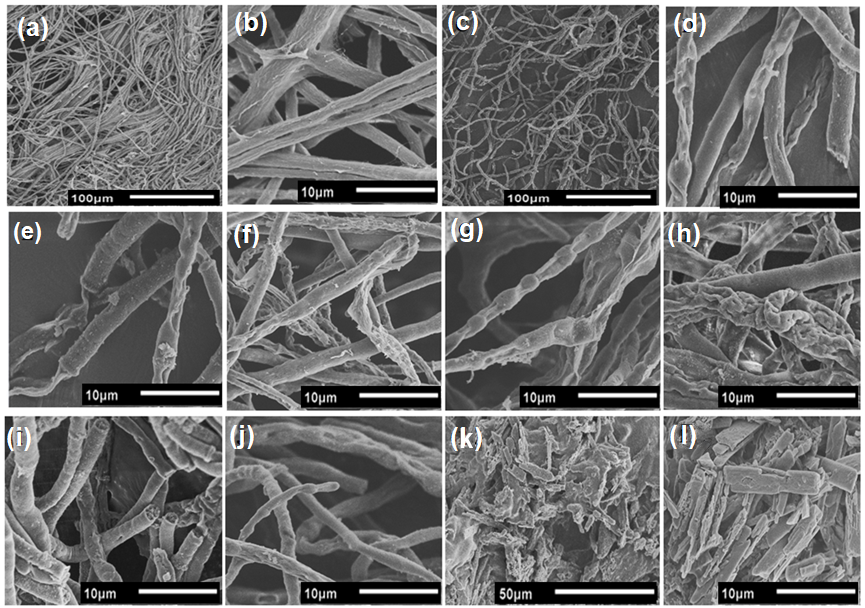 Polymers 16 00529 g007